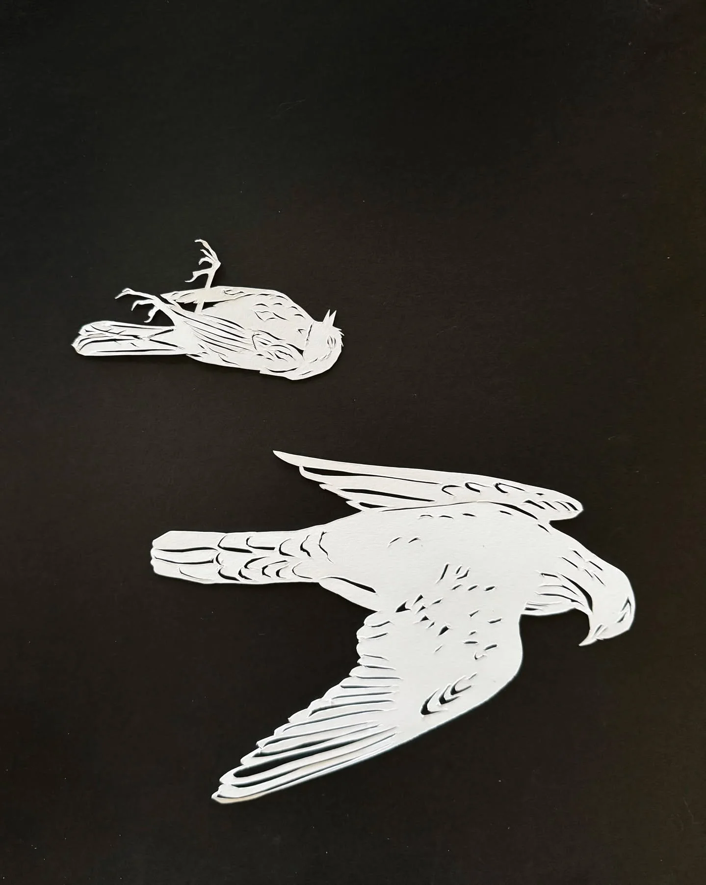 Day 34 of 100&mdash;Invisible City: Mourning Dove and Sparrow.
One of my conditions was really acting up today. I only had about an hour and a half of active time in me. Happily I had already sketched out these birds to be a part of the Invisible Cit