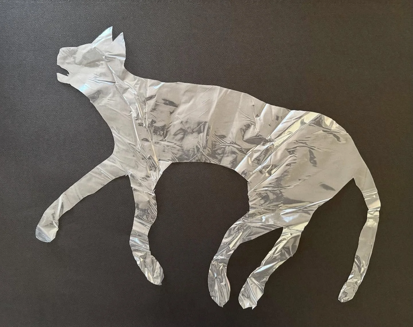 Day 74 of 100: Plastic cat

This was all I had in me today. Plastic wrapping from a new dog bed, and a memory of an unknown cat. I am going back to bed with my own meow-y belly rub-demanding cat and hoping my dog likes his new bed. Sometimes that&rsq