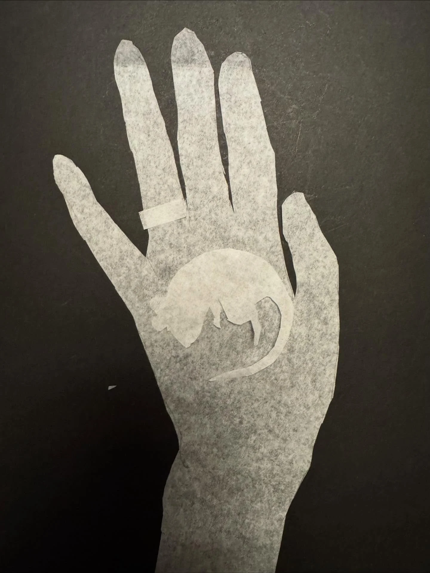 Day 76 of 100: Experiment with layered tissue

I have been curious what layering tissue would look like so I did a quick experiment, my hand and the ghost of a sleeping mouse. Or we are both ghosts. I have no idea how I would hold any pieces together