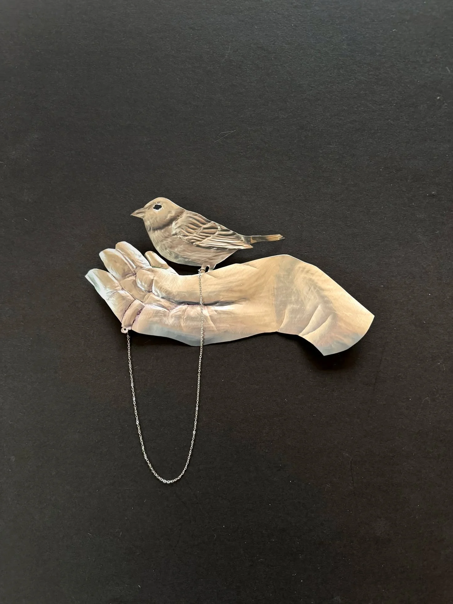 Day 78 of 100: A Bird in the Hand.

Birds in the hand&mdash;those delicate things that if we are ever still enough and blessed enough will bestow upon us their fleeting trust to pluck a seed or piece of bread from our hand. Or are tethered to us thro