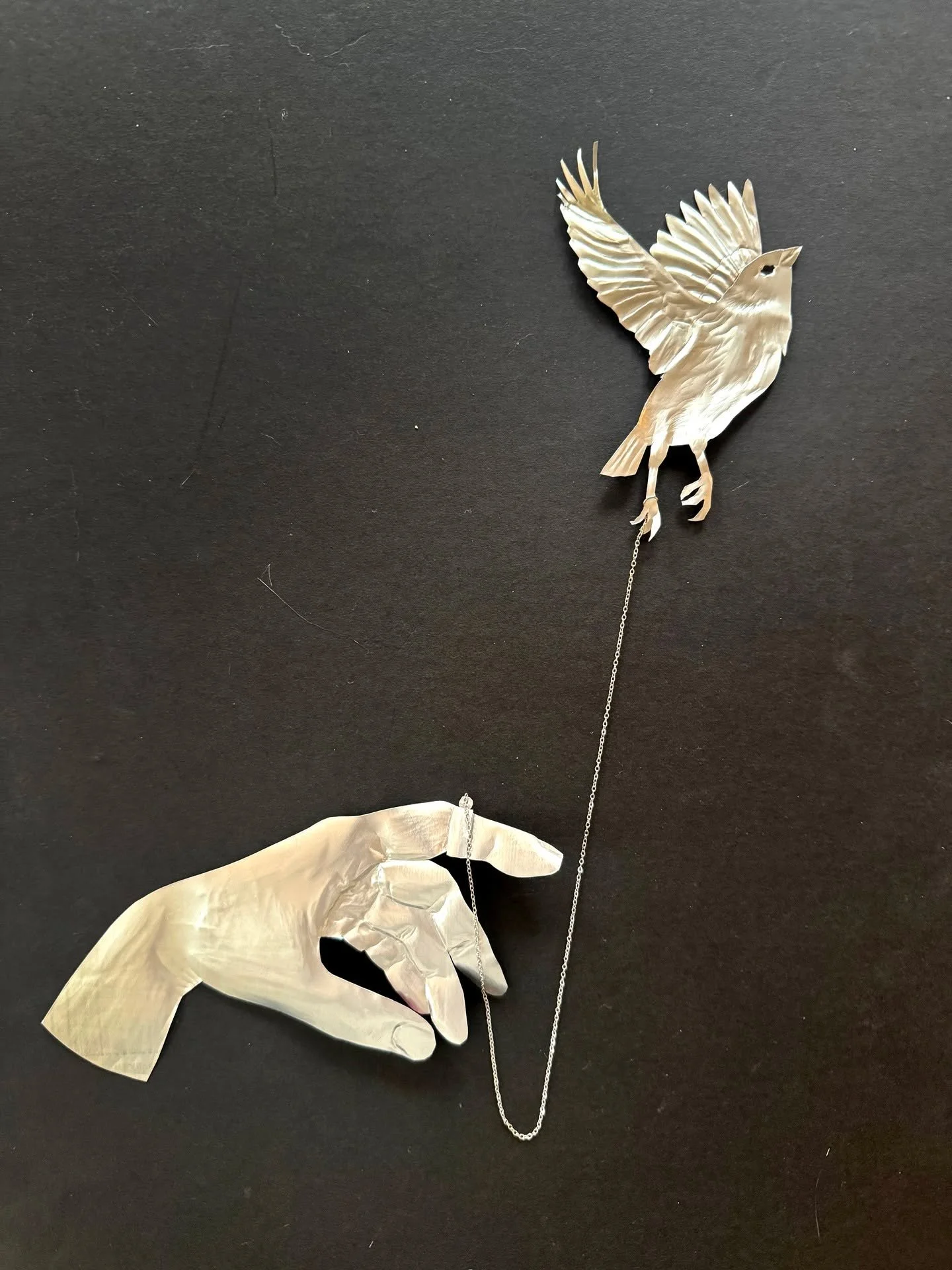 Day 80 of 100: Never Let You Go

I do not know if anyone ever kept a sparrow chained to their finger. In the wide world of human inanities I&rsquo;m sure there was someone who felt it to be a unique form of jewelry. I wouldn&rsquo;t put anything past