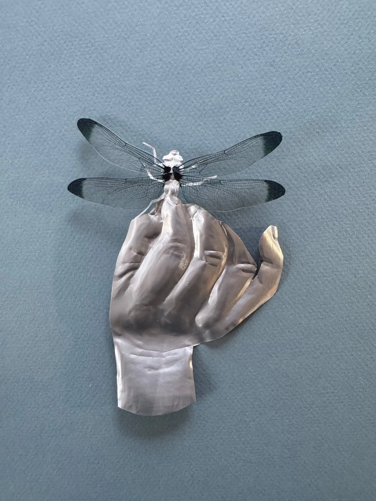 Day 81 of 100: Look, I Caught a Dragonfly

I took off Thanksgiving as we were hosting. Today I returned to cutting up aluminum cans and photographing my hands. I can&rsquo;t seem to stop making them. Although these embossed pieces are attractive in p
