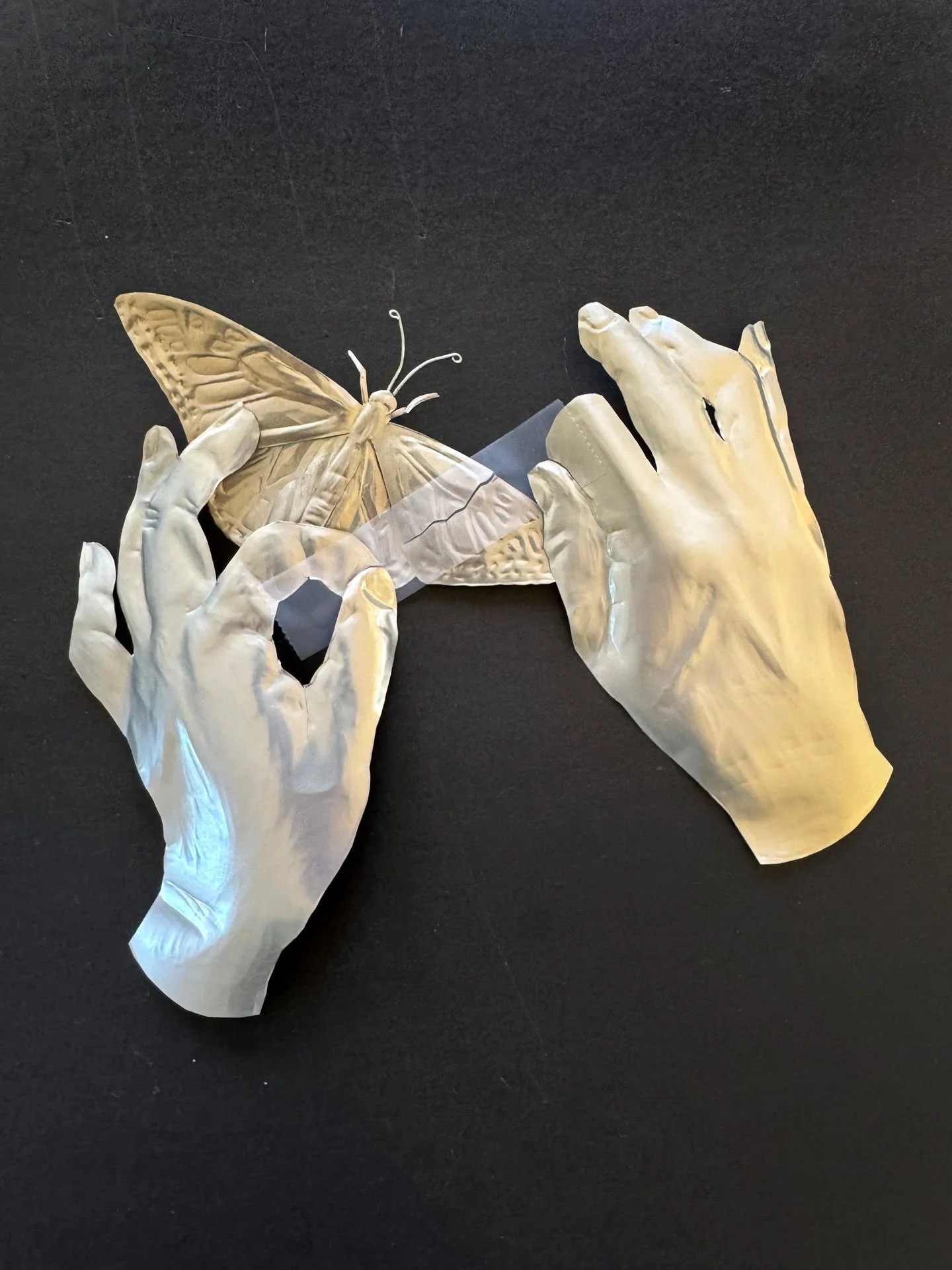 Day 86 of 100: Good Intentions

Monarch butterflies are the charismatic minifauna of declining species. They are the poster child of the environmental crisis of declining insects. Their decimation is due to loss of habitat as cities expand, developme