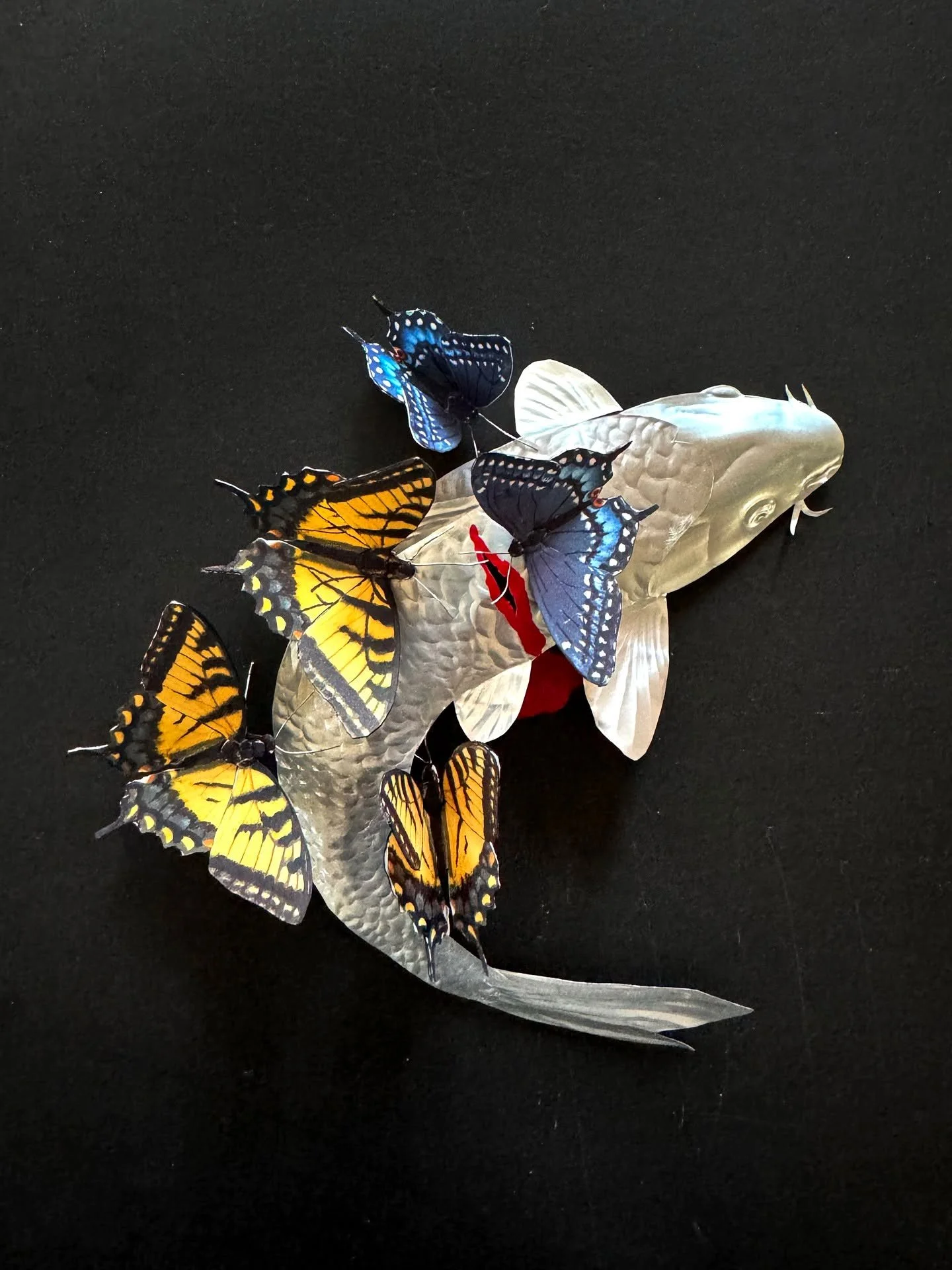 Day 95 of 100: Nature Is Also Like This

When I was looking up monarchs I came across the most amazing photo someone had taken of a dead fish covered in butterflies. It was from an old Facebook post, and of course one should never believe that. But w