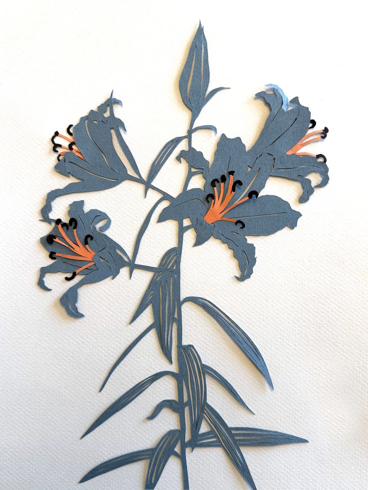 Day 96 of 100: Accidental Hallmark Card

There&rsquo;s this vintage photo of a lily plant that I&rsquo;ve been hanging onto for ages, thinking how great it would look as a cutout. Turns out it just looks like it should be on a condolences or congratu