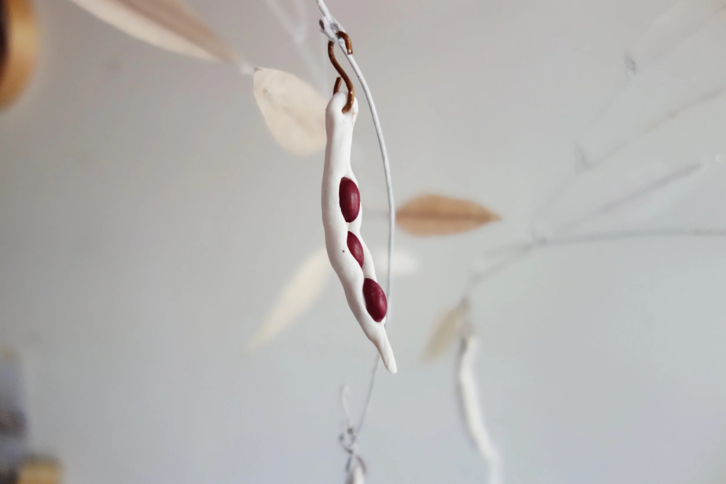 DeadVine_Bean_Detail.jpg