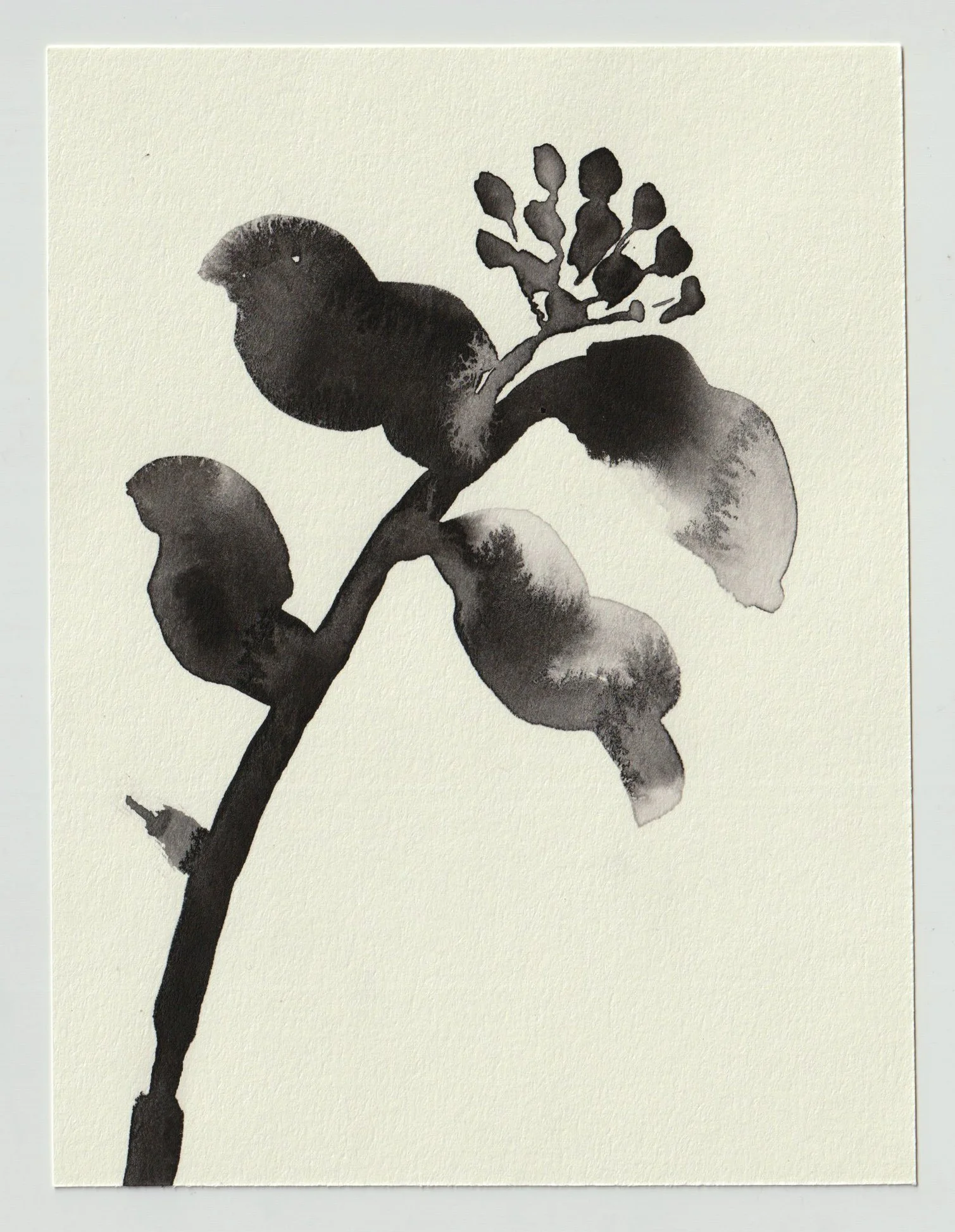 Ink_vertical3.jpg