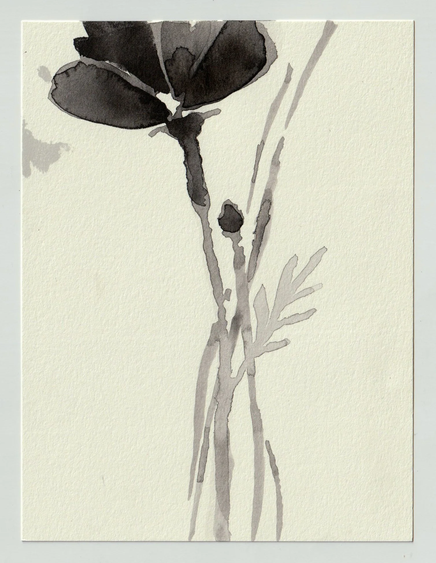 Ink_vertical1.jpg