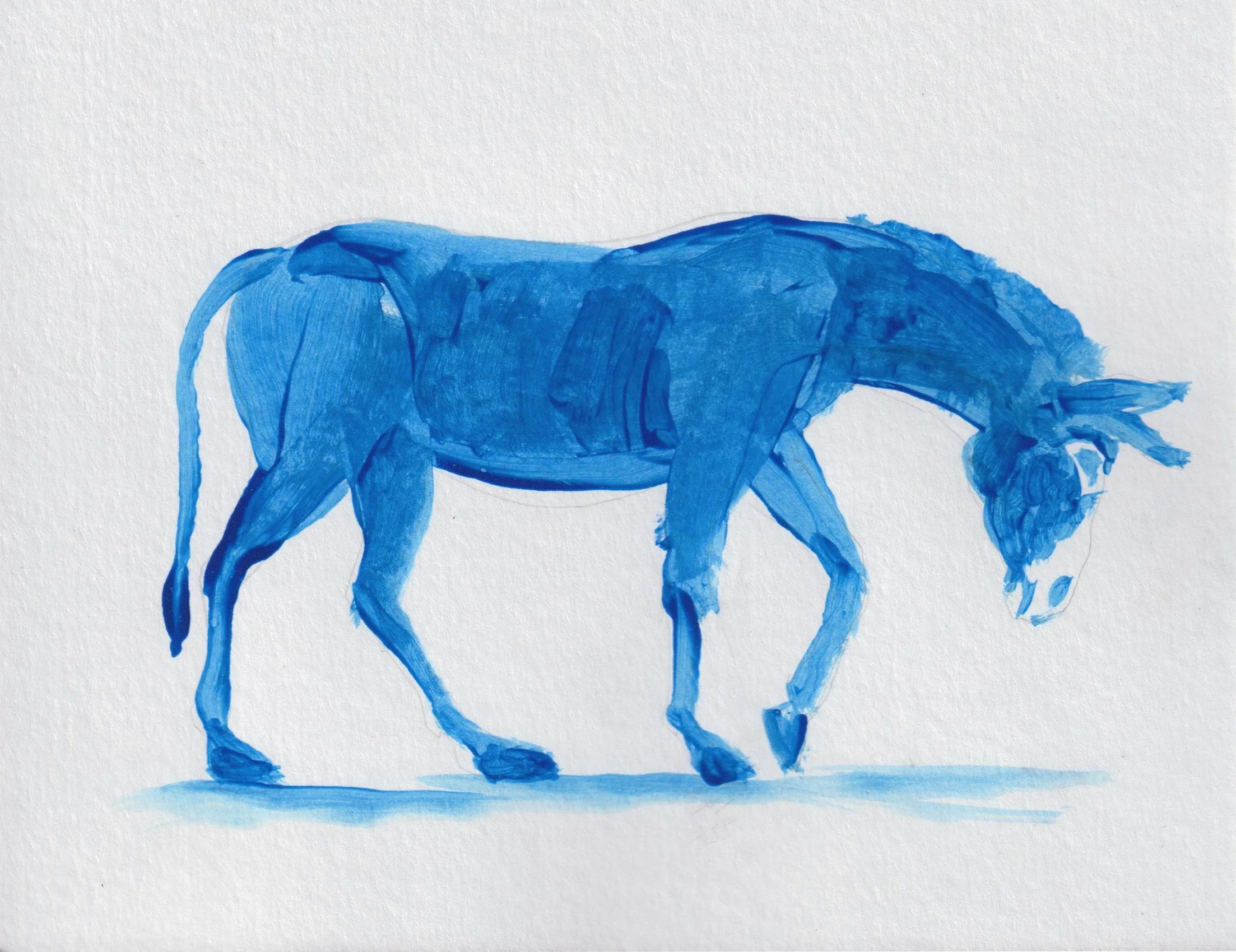 BlueDonkey4.jpg