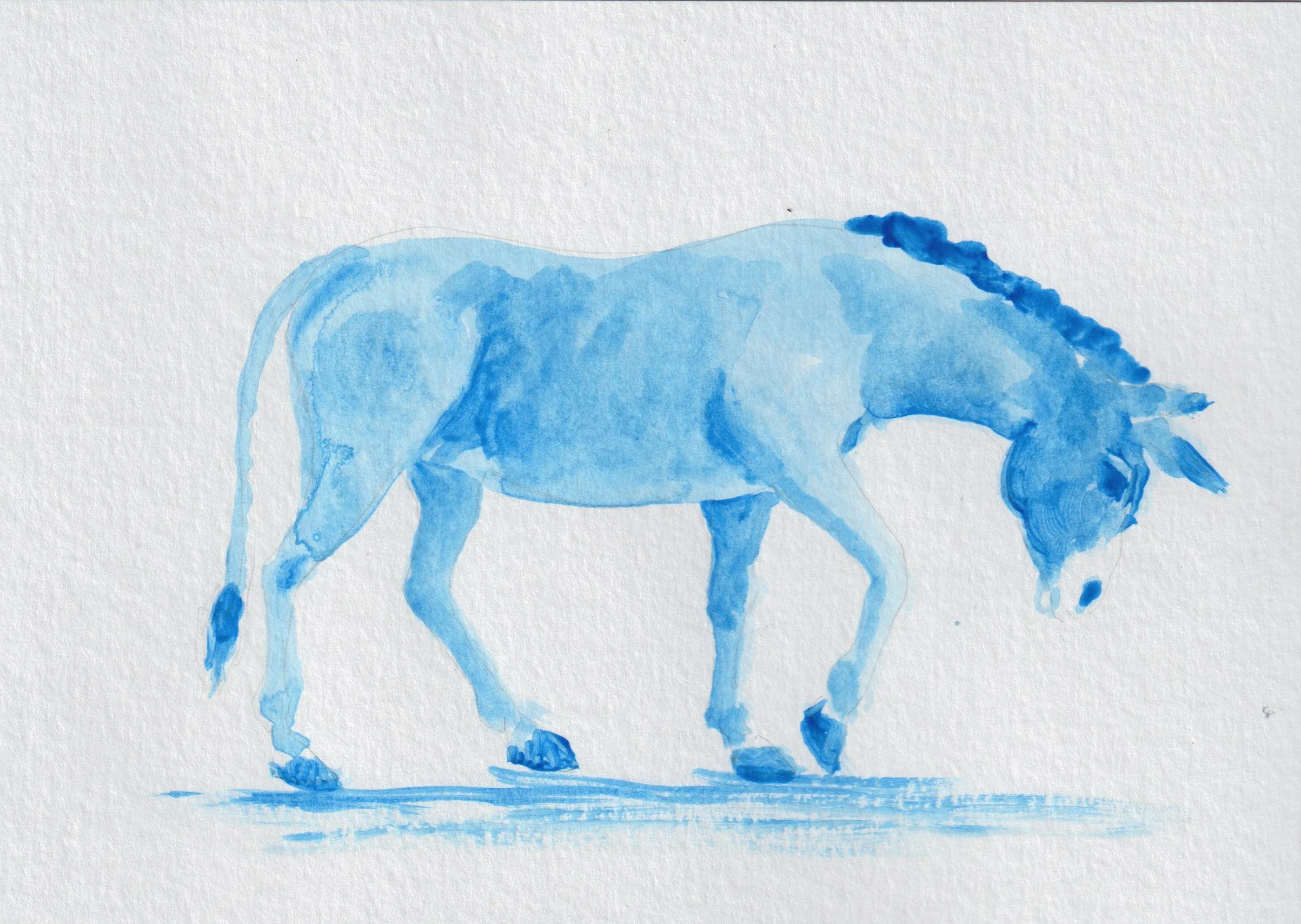 BlueDonkey1.jpg