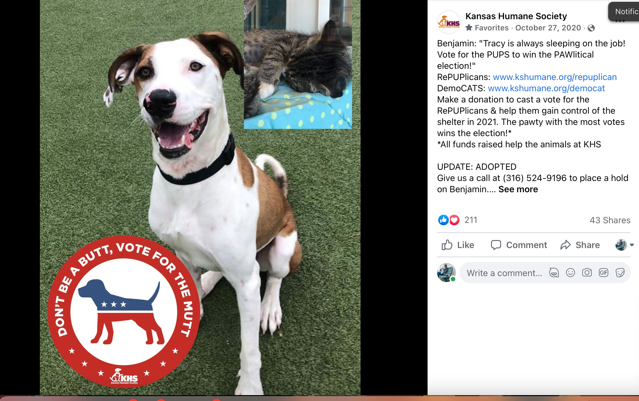 Pawlitical Election.png