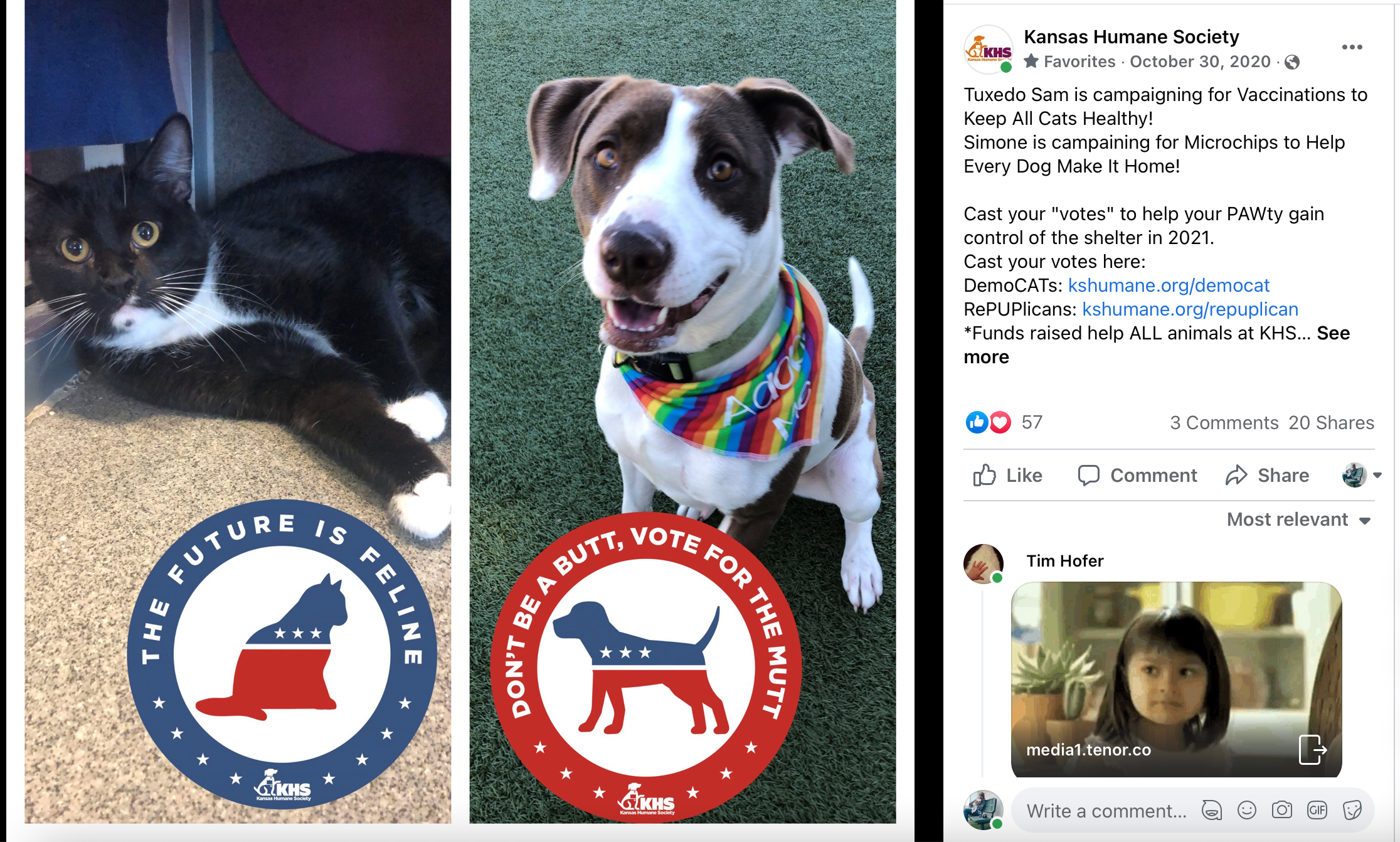 Pawitical Election - Dogs vs Cats