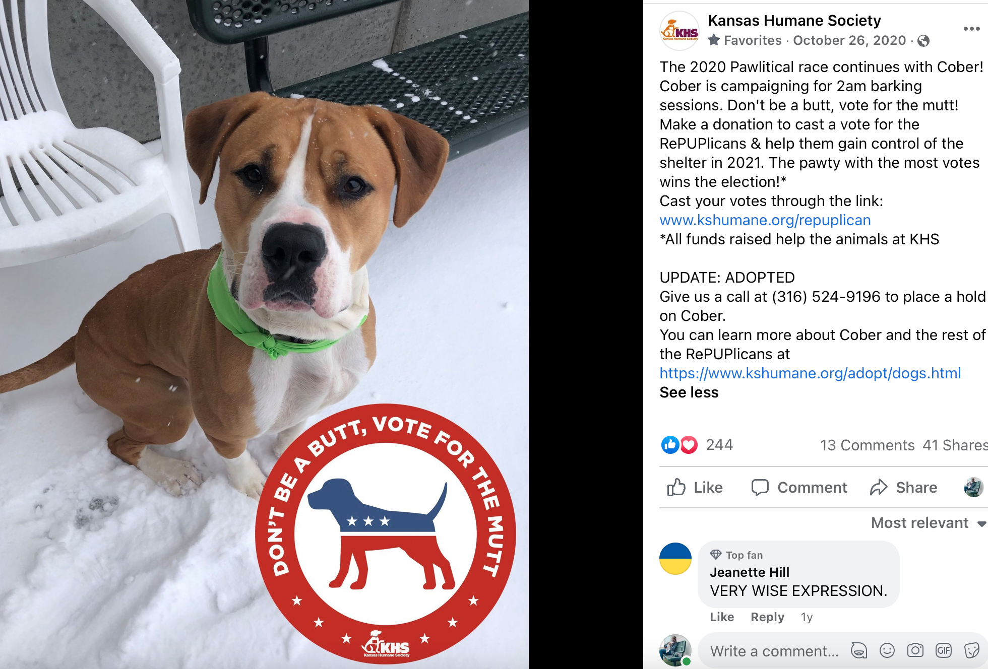 Pawlitical Election