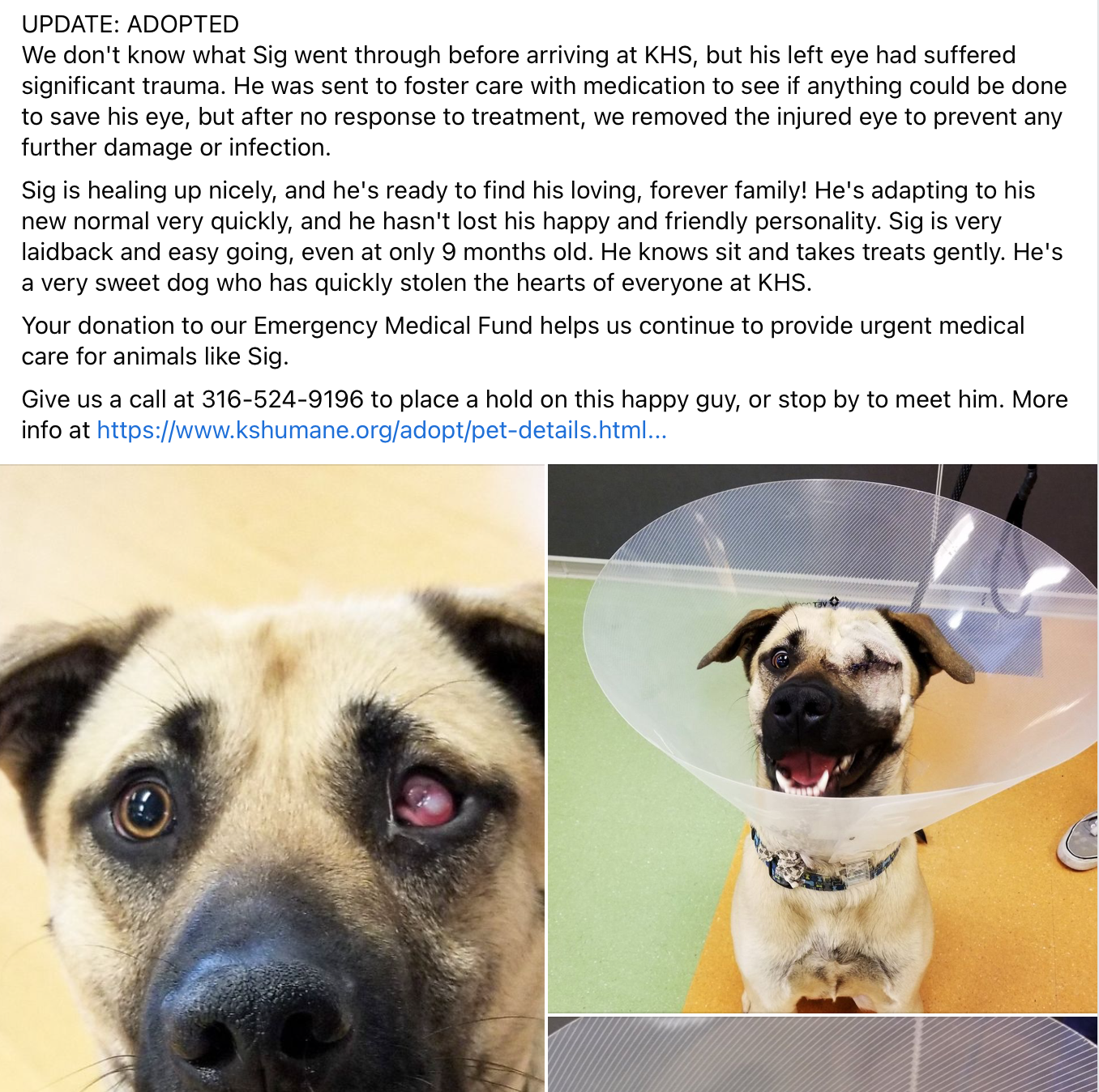 Sig- Fundraiser Story