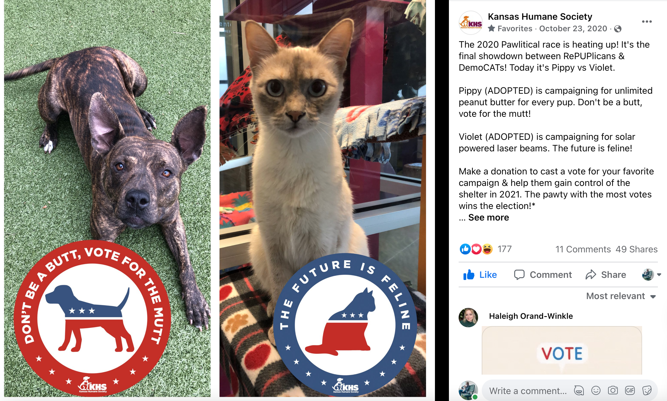 Pawlitical Election Post