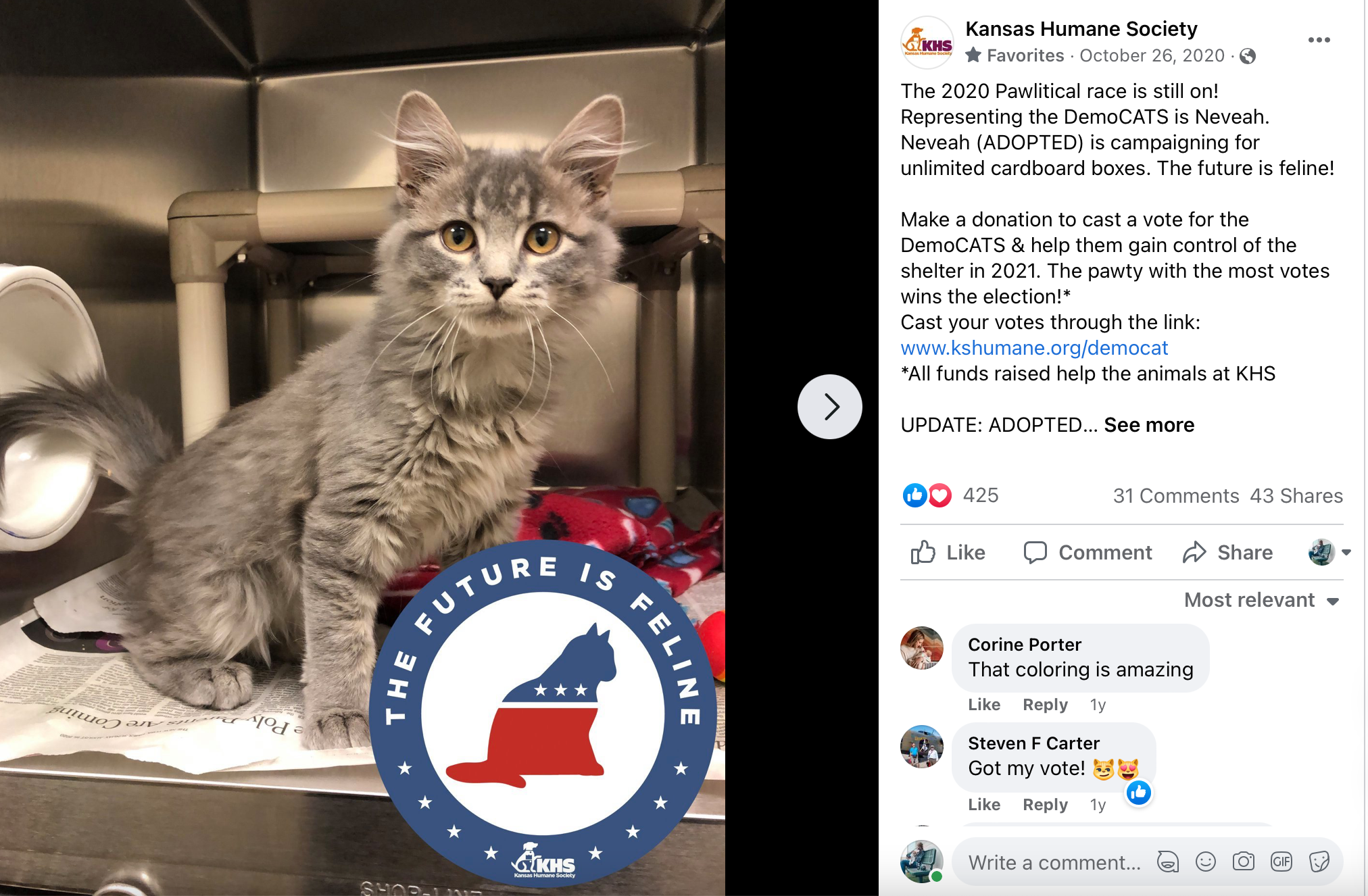 Pawlitical Election example