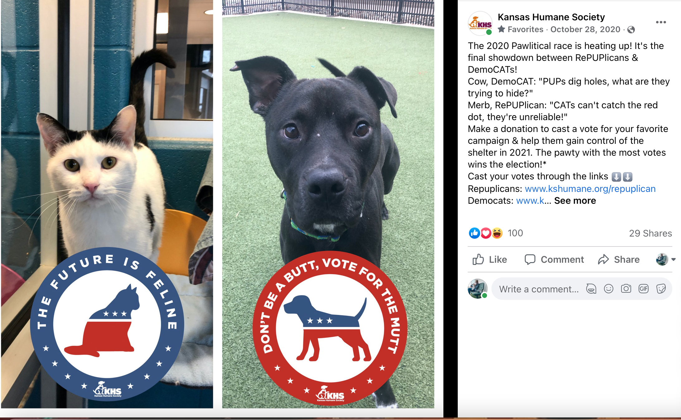 Political Election - Smear