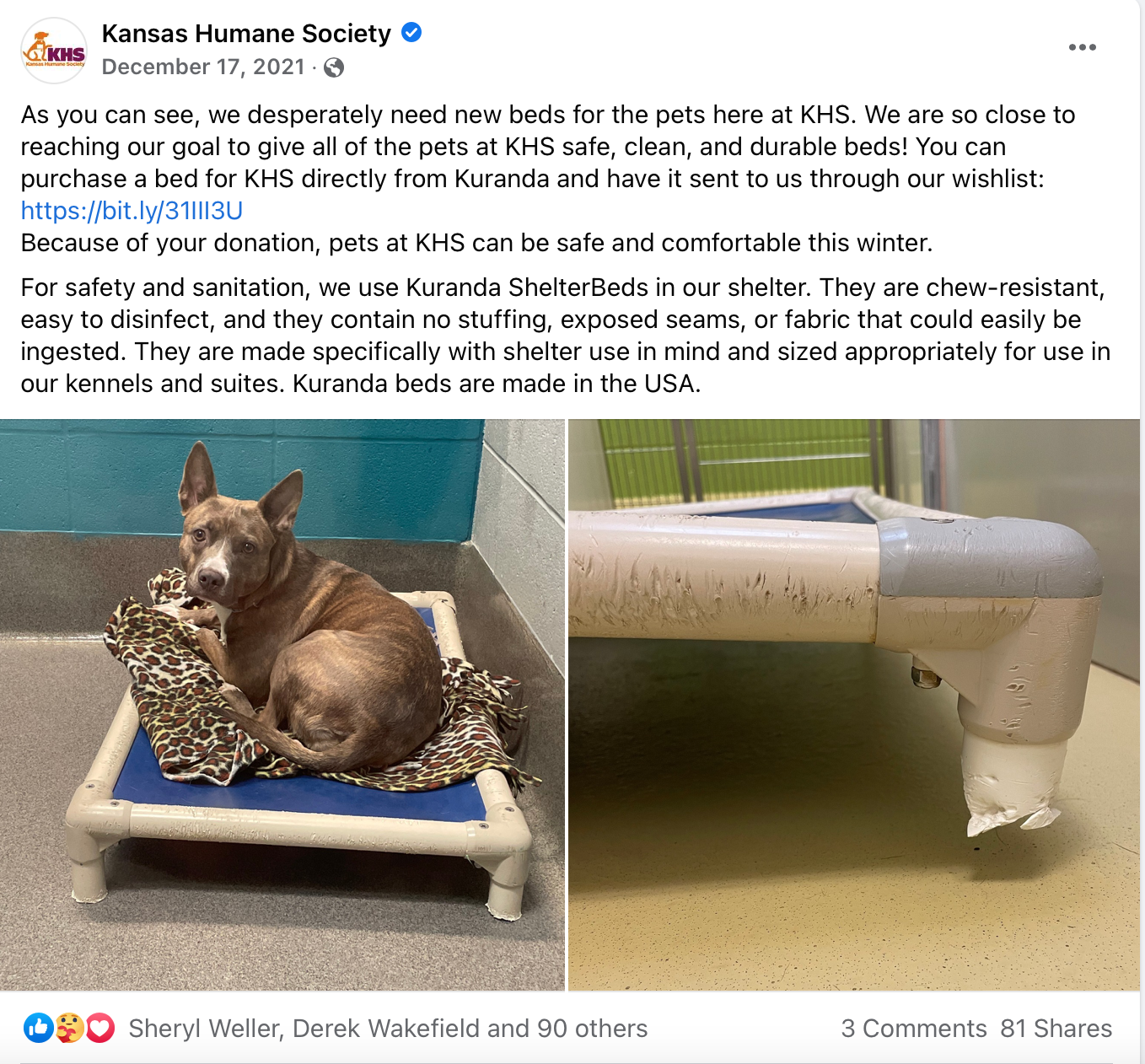 Kuranda Bed Campaign - Showcasing the desperate need for new beds