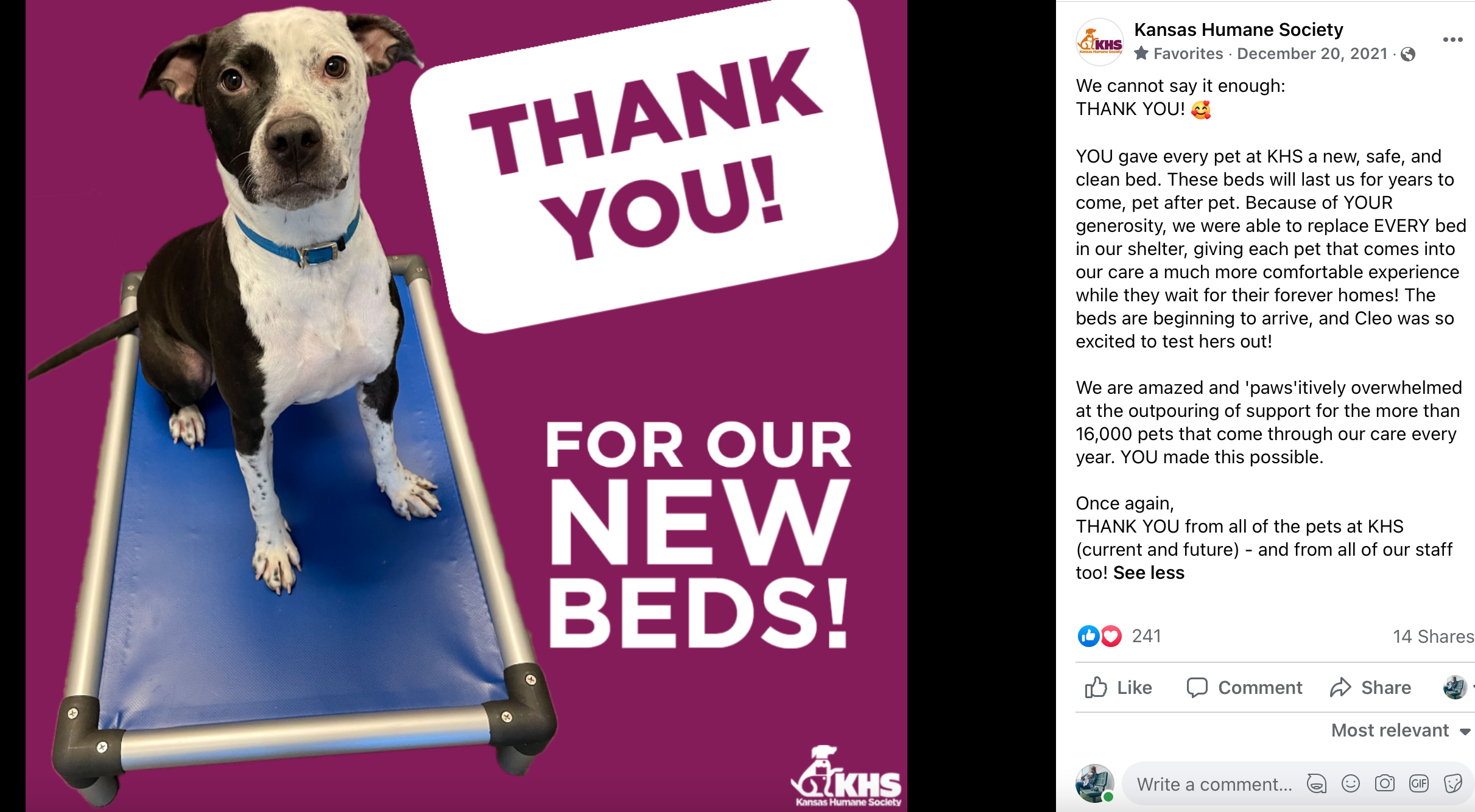 Kuranda Bed- Thank you!