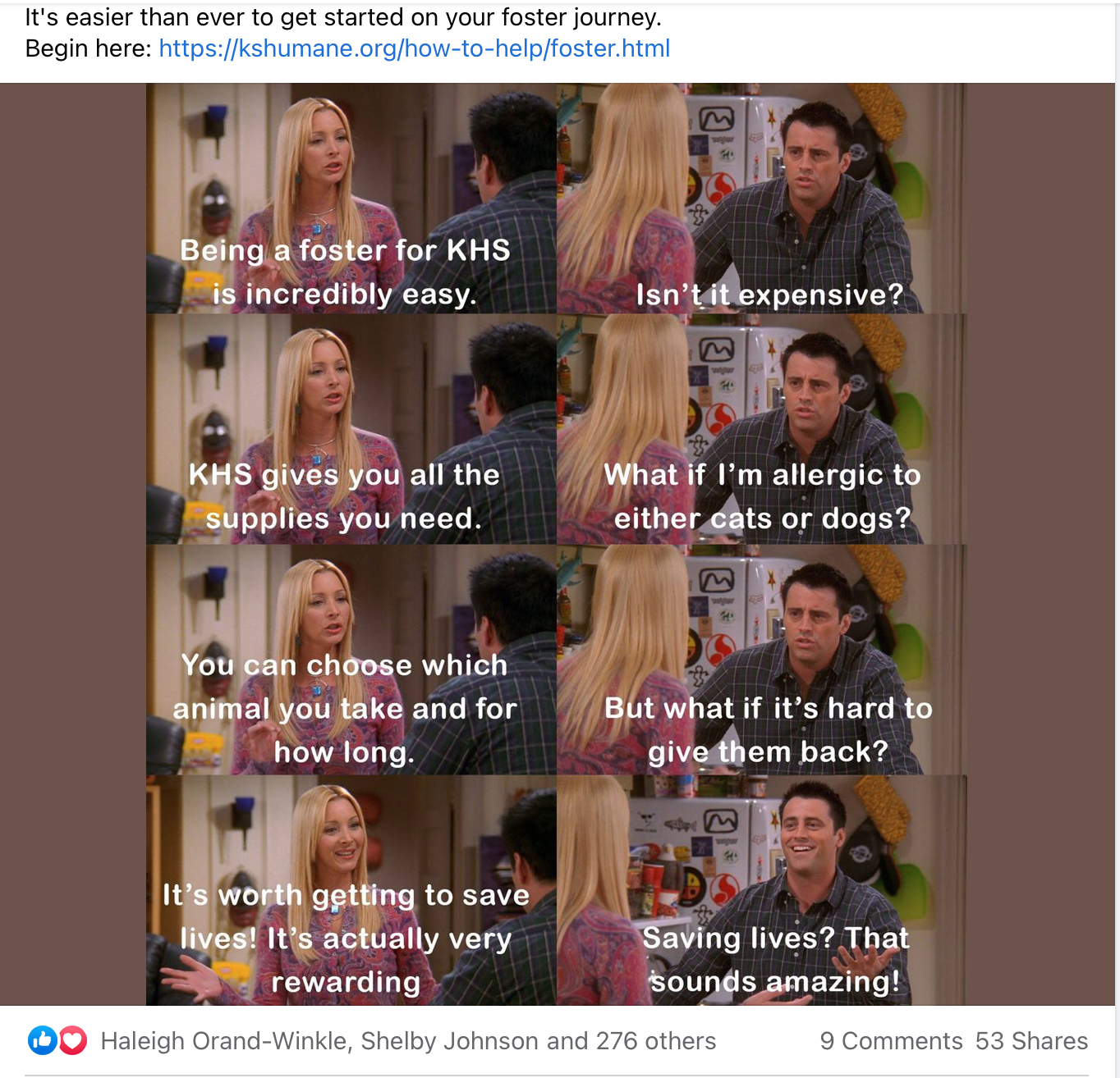 Friends foster recruitment meme