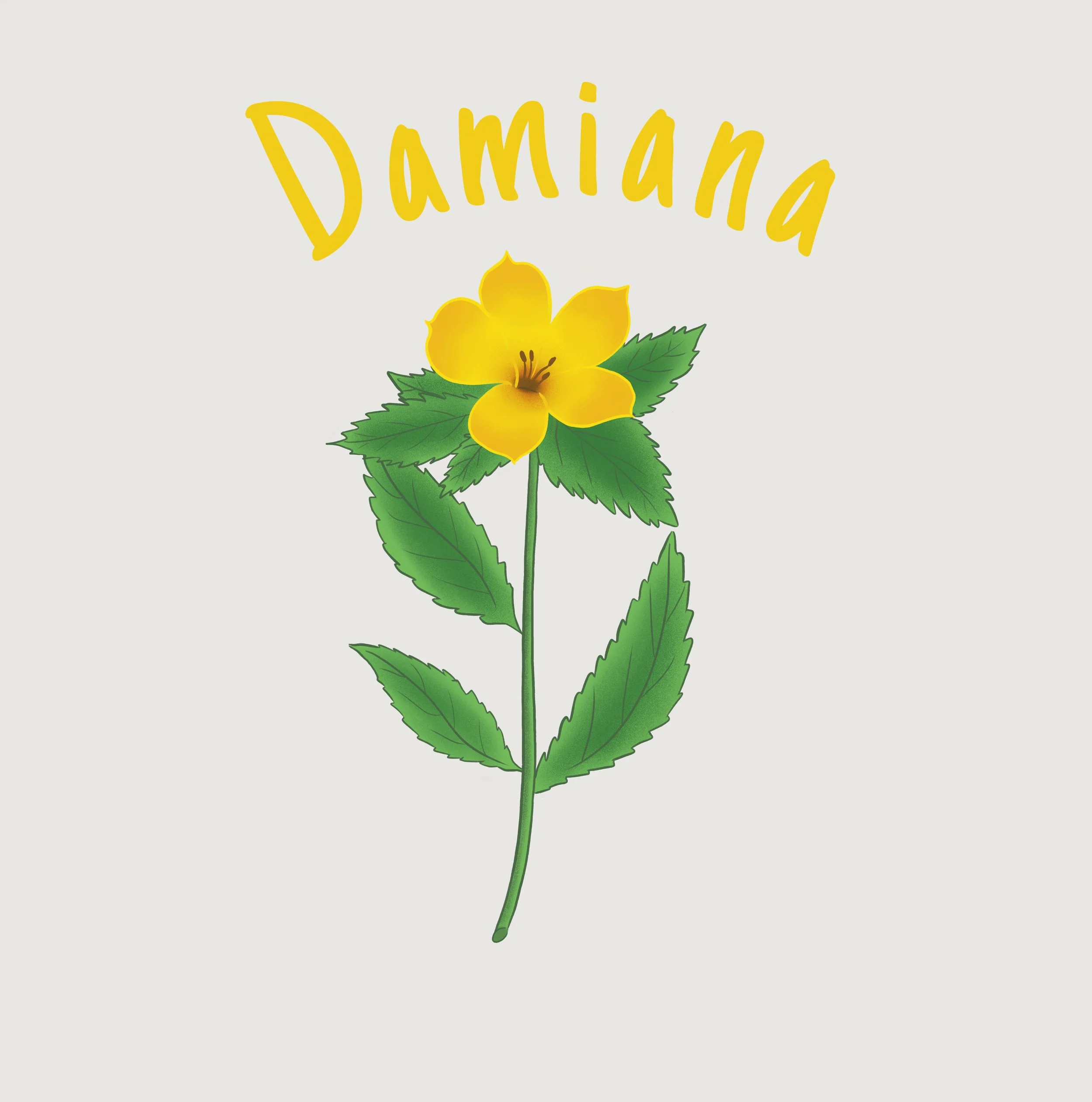 Damiana.JPEG
