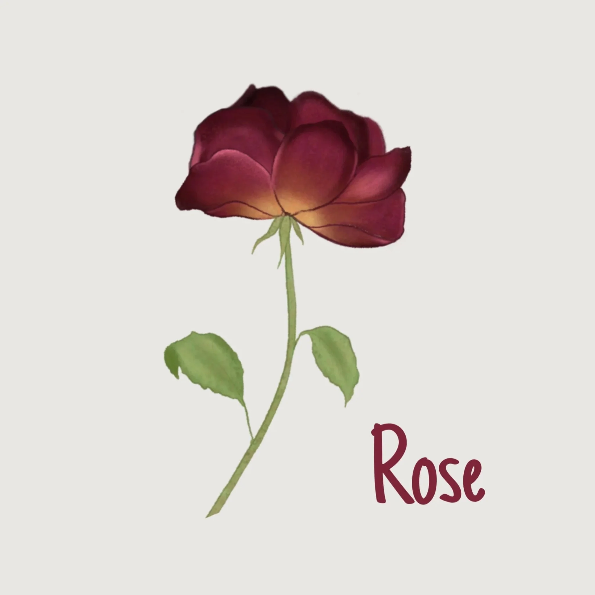 rose.jpg