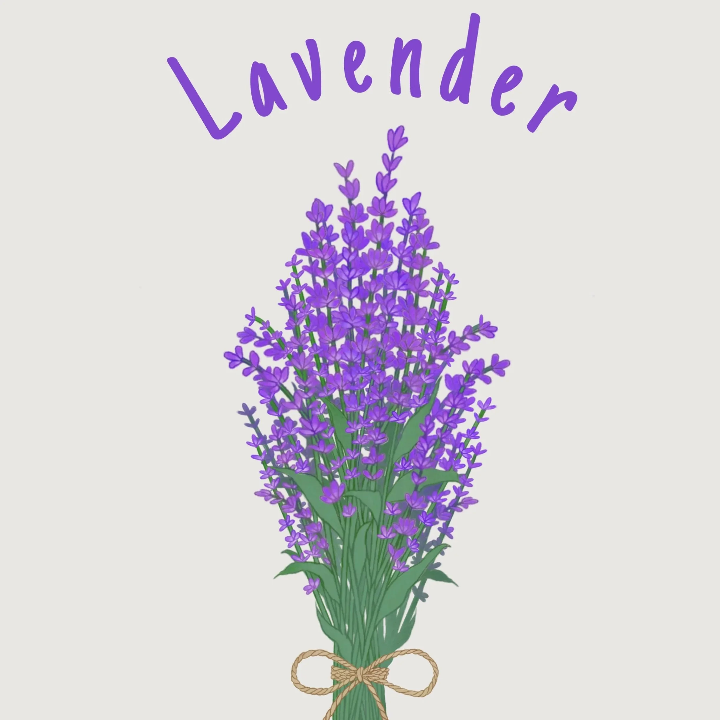 lavender.jpg