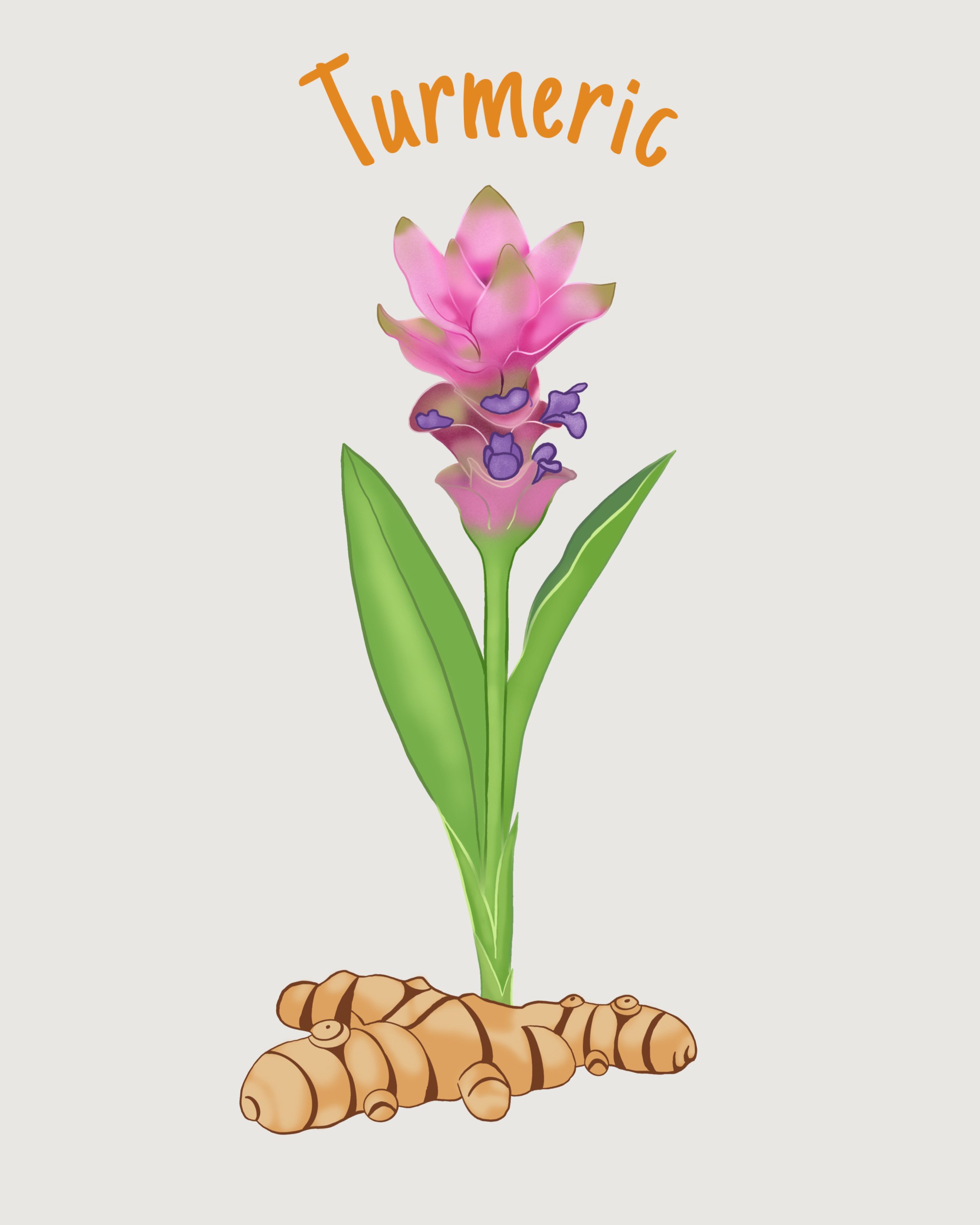 Turmeric.jpeg