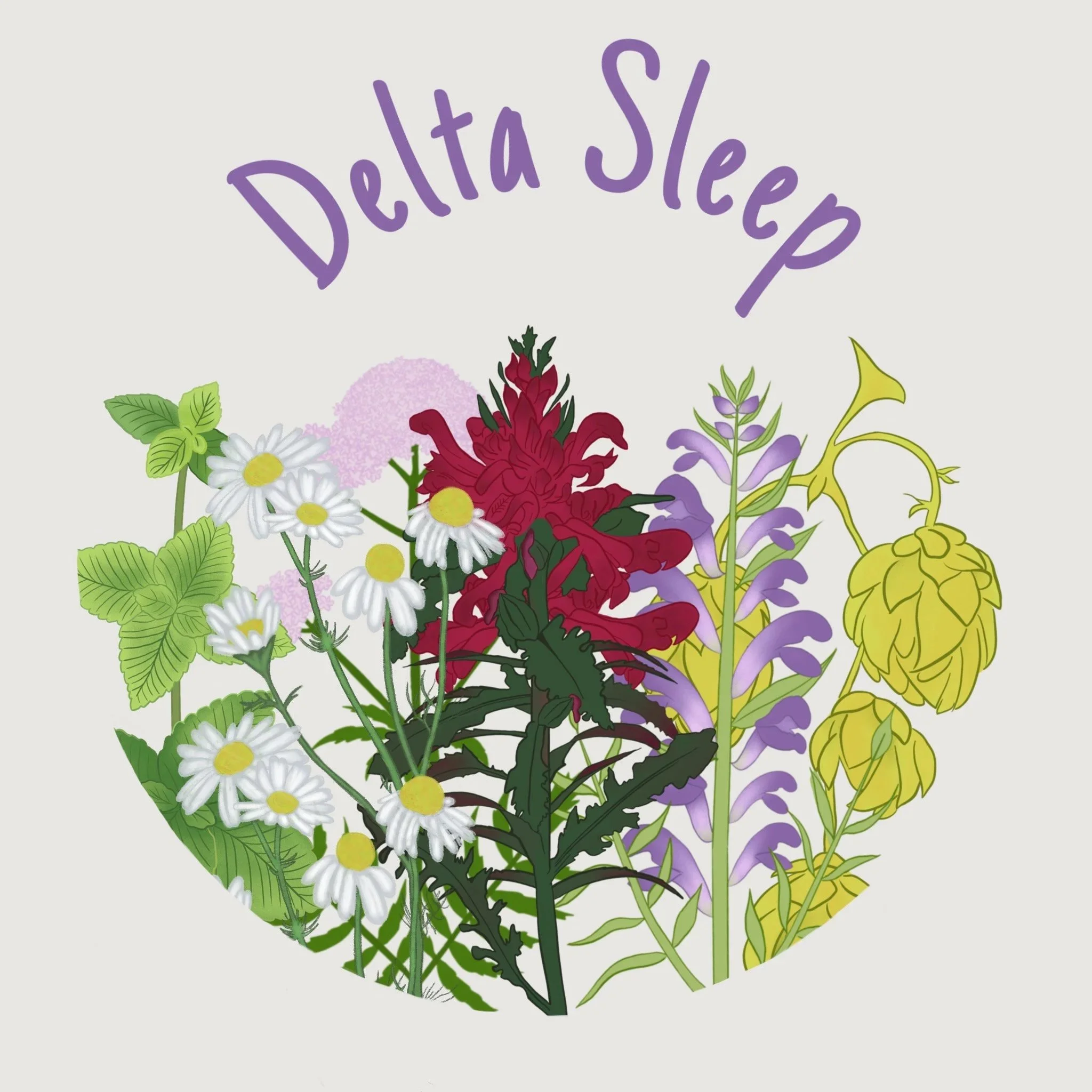 Delta+Sleep+.jpg