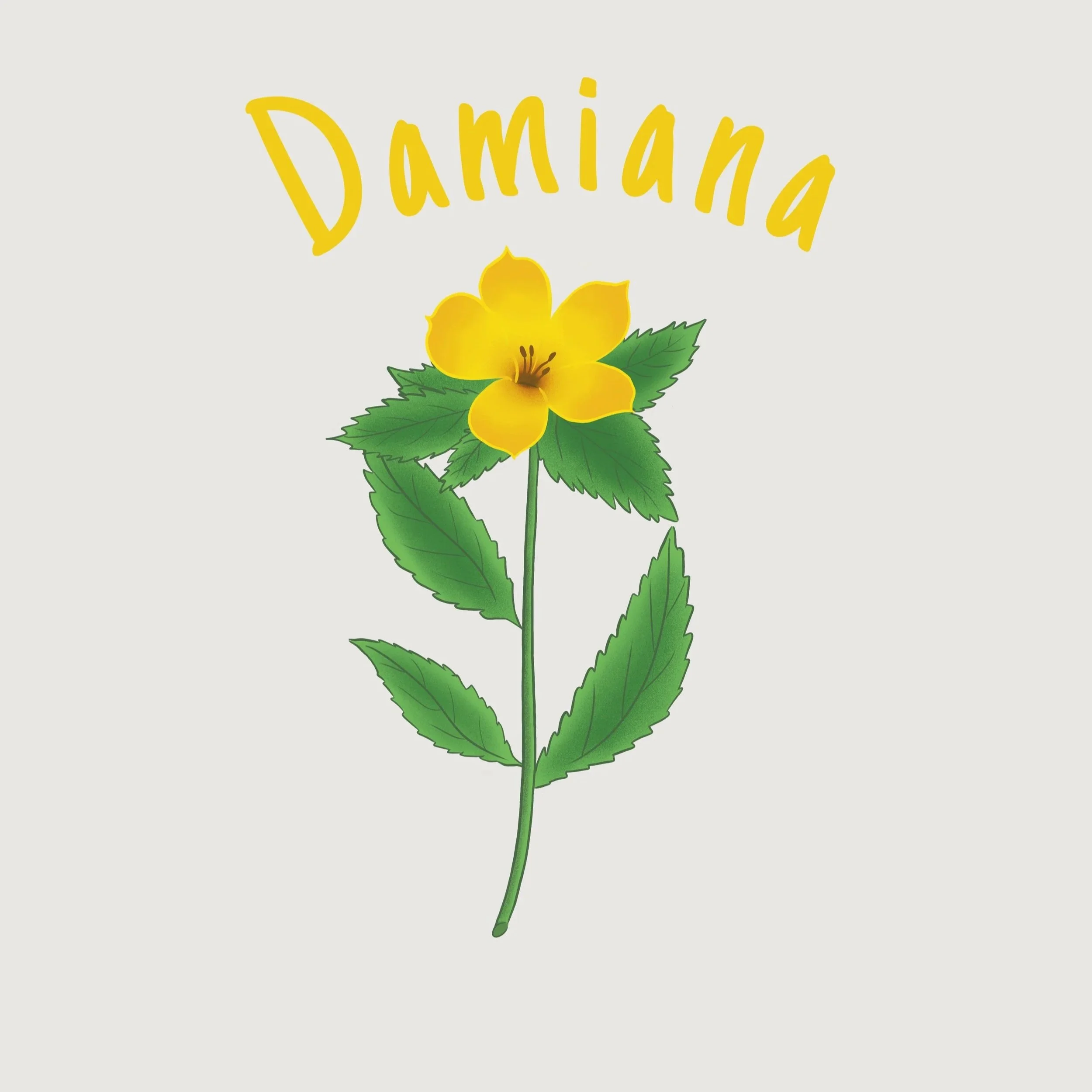 Damiana.jpg