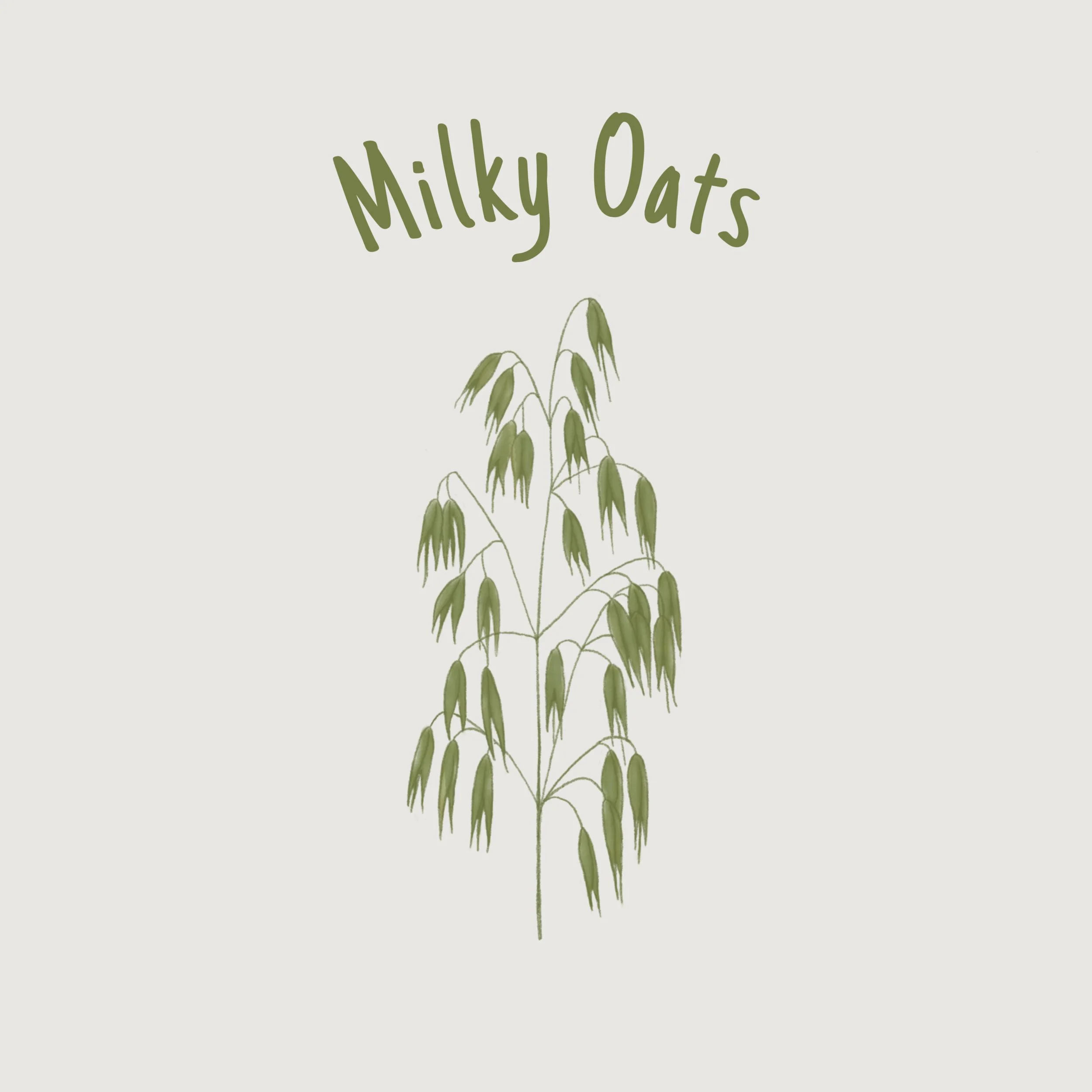 Milky Oats.jpg
