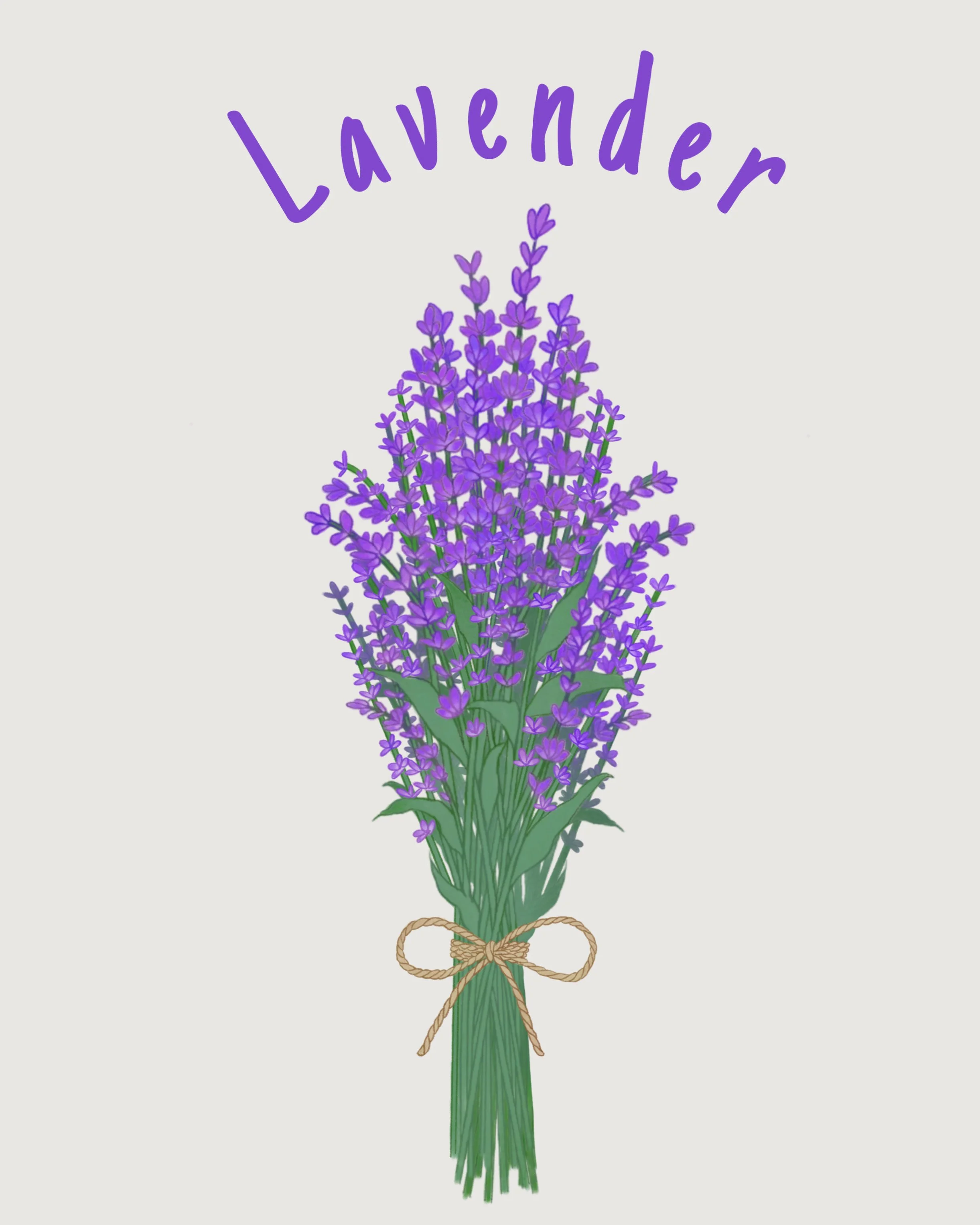 lavender.JPEG