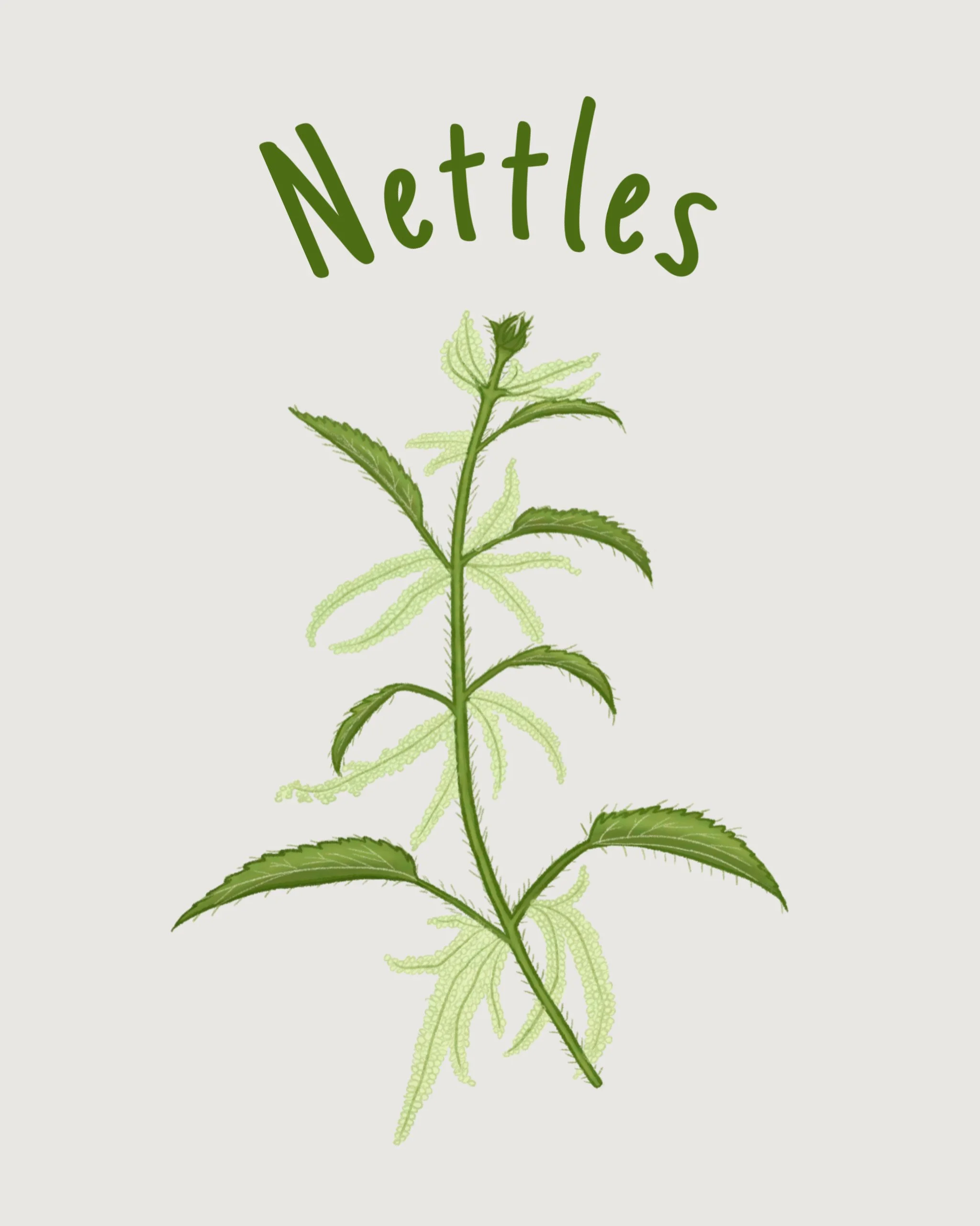 Nettles