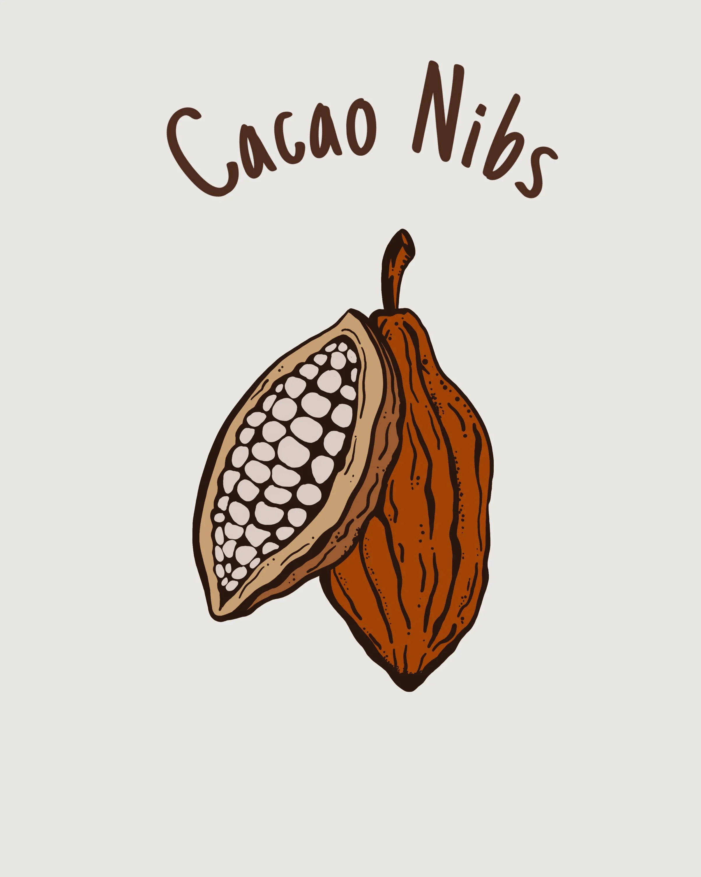 Cacao nibs.jpeg