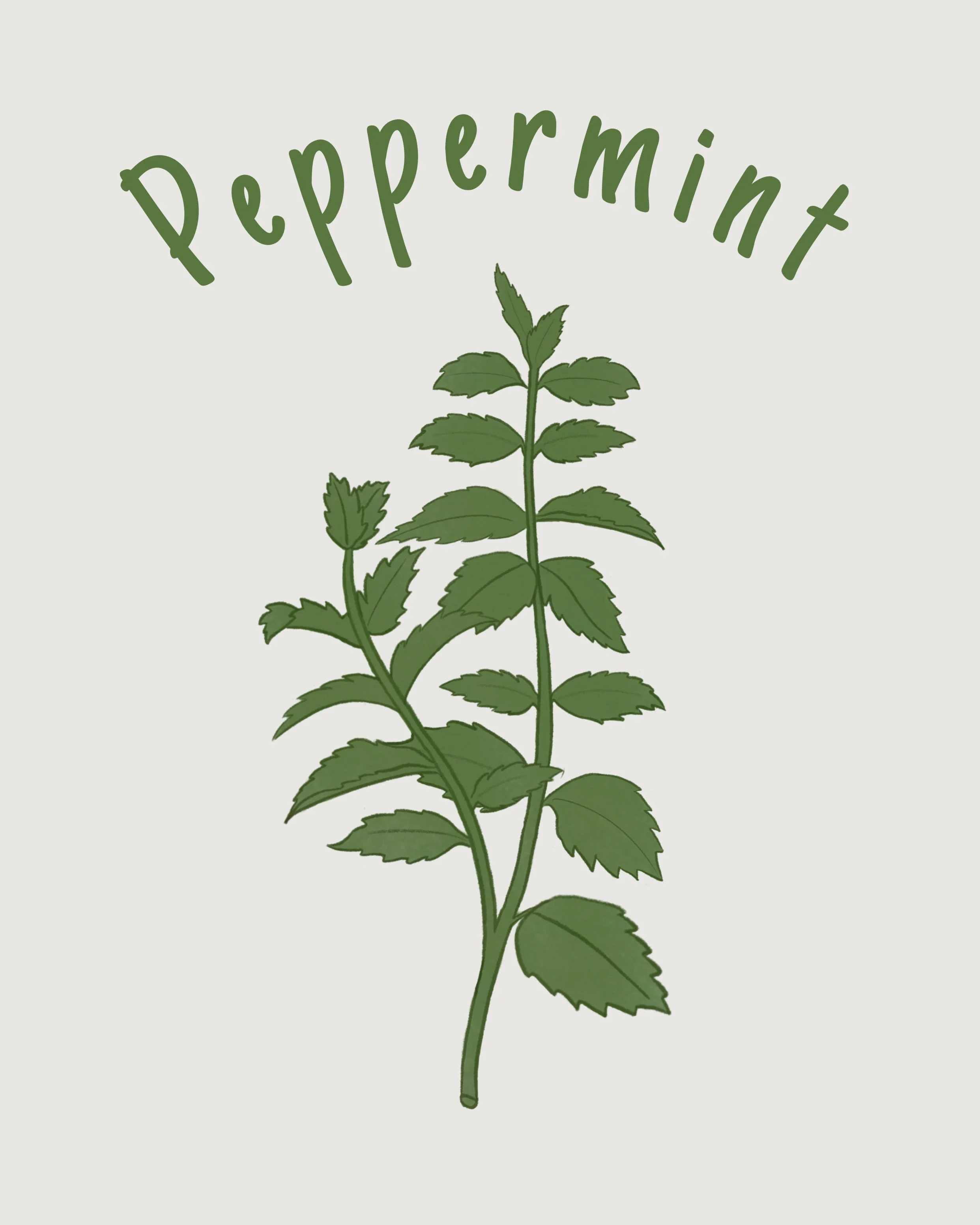 peppermint.JPEG