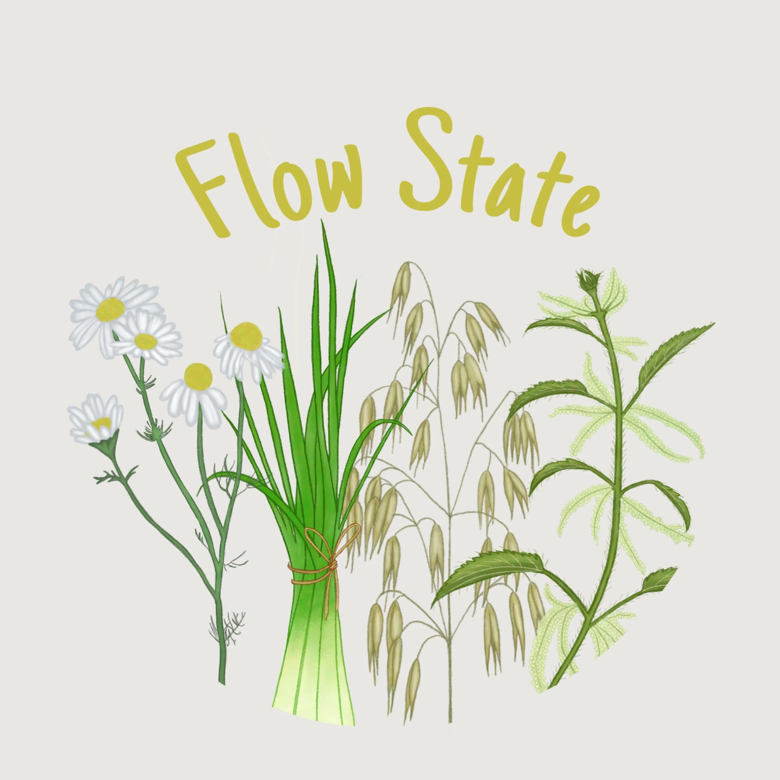 Flow State