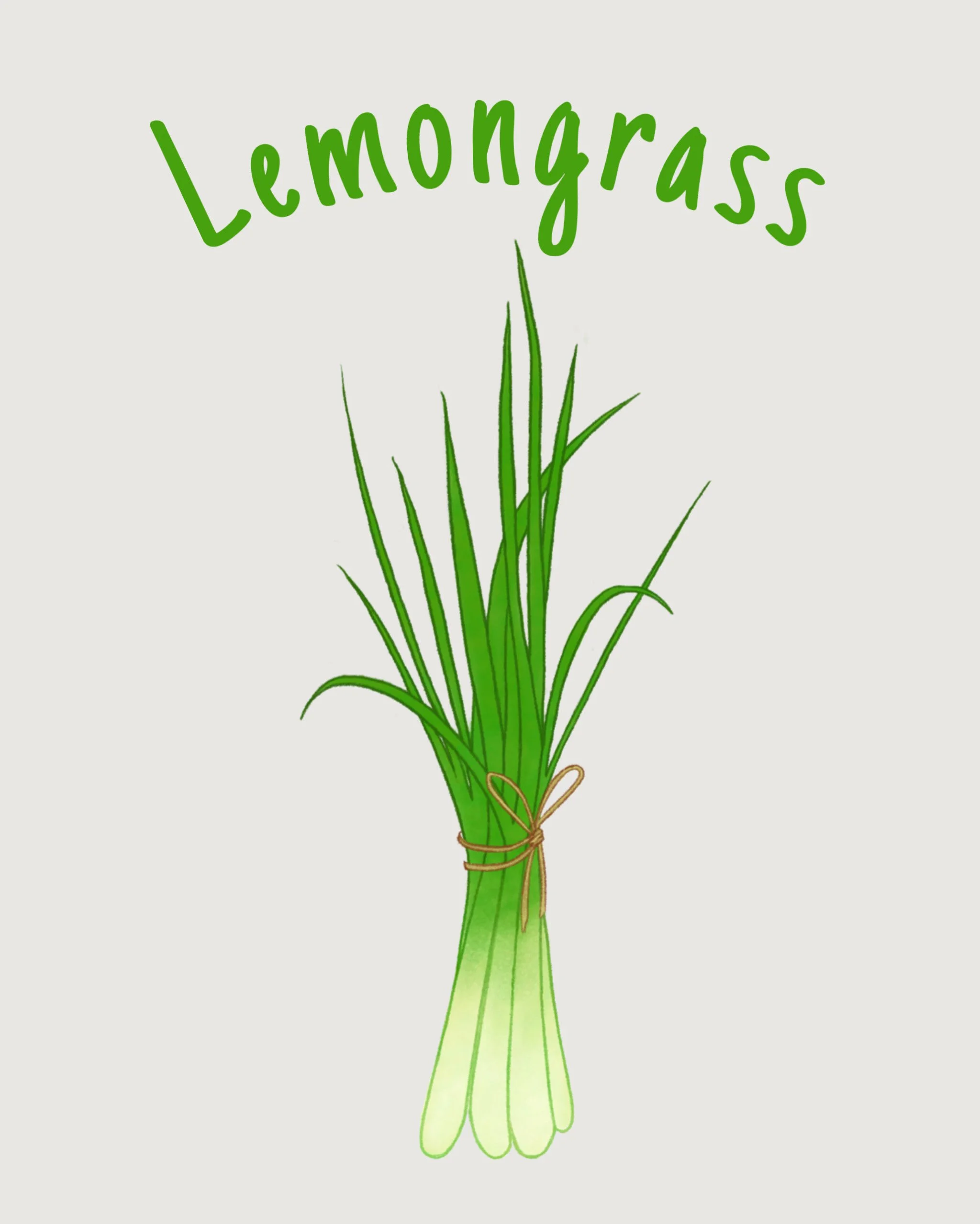 lemongrass.JPEG