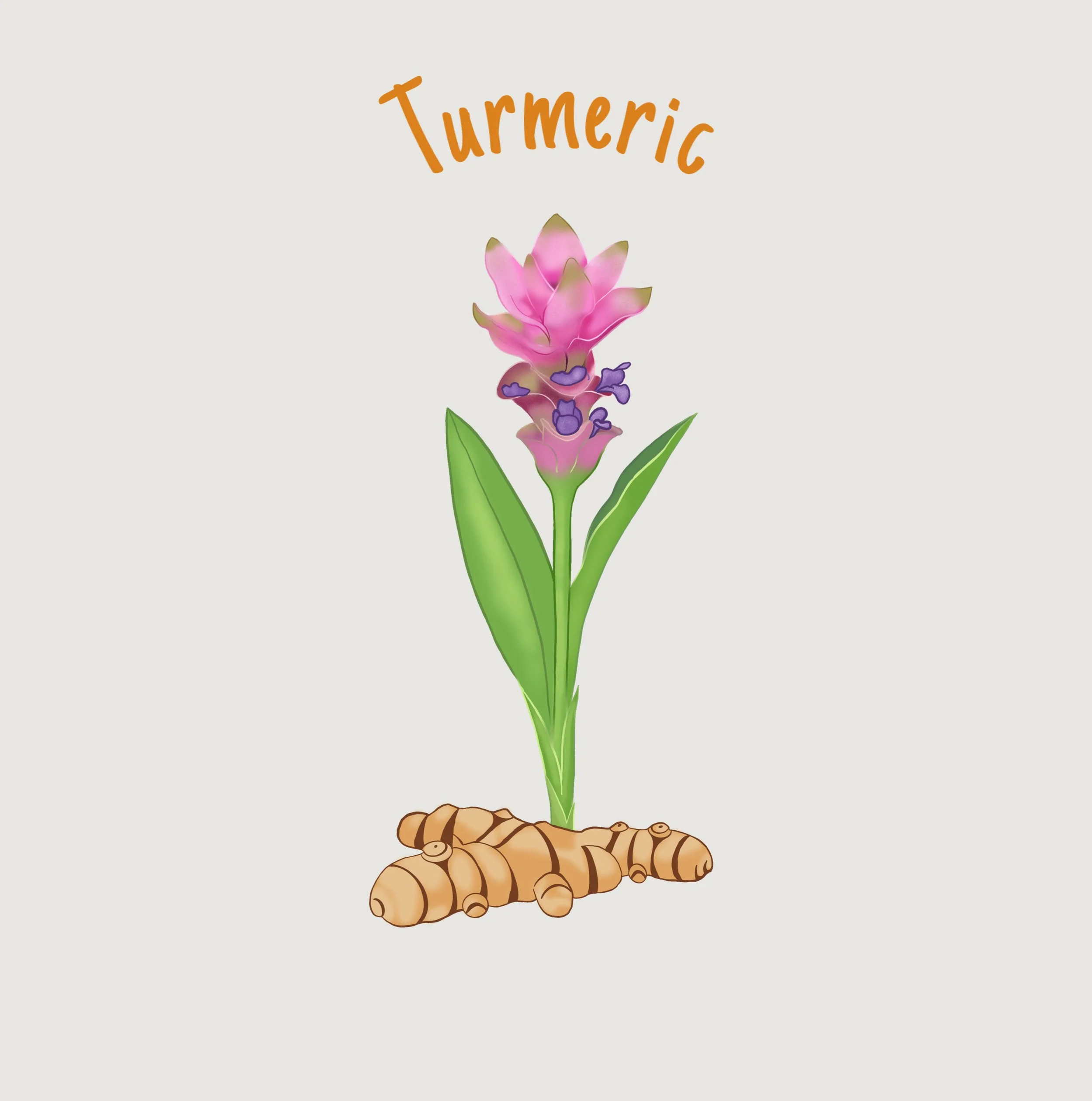 Turmeric.jpg