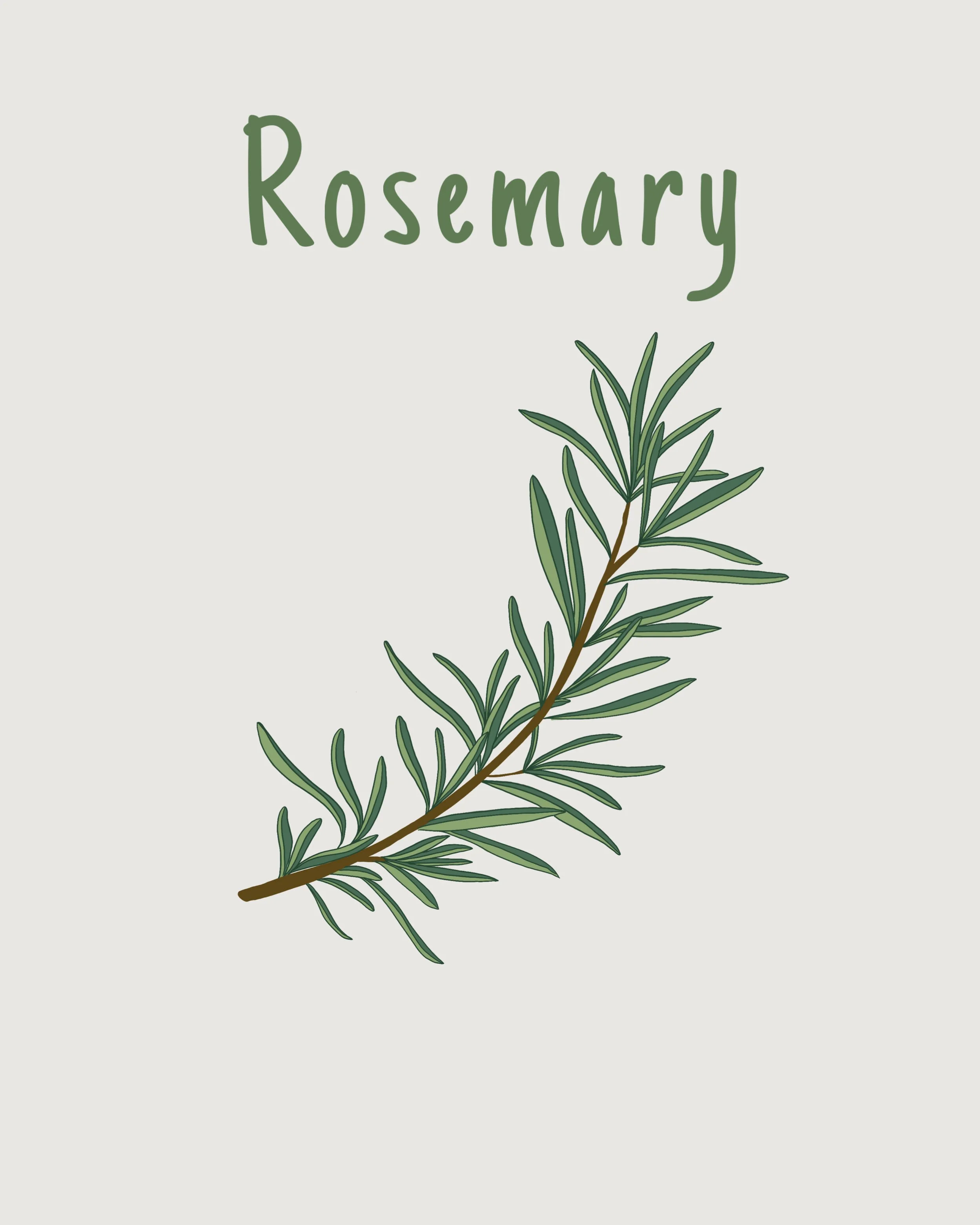 Rosemary.jpeg