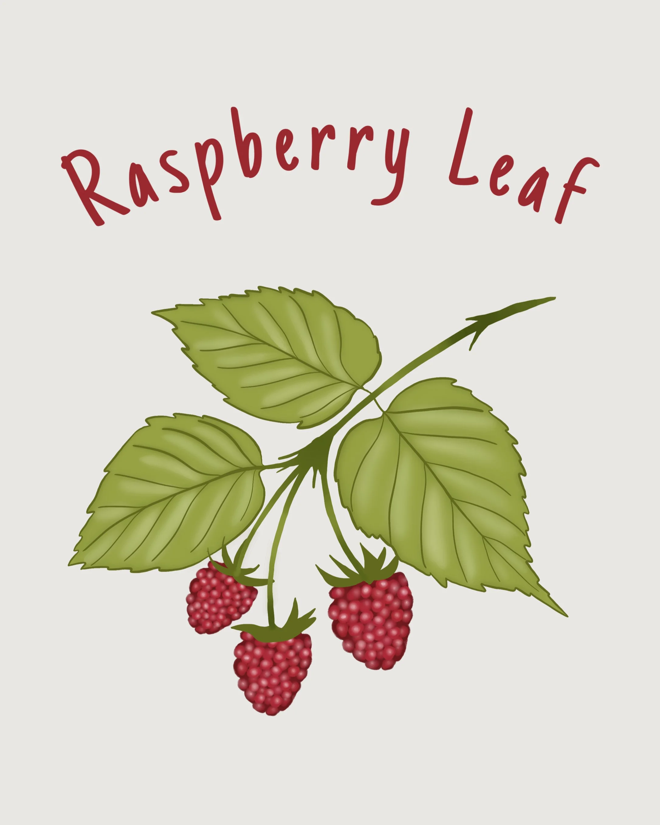 Raspberry leaf.jpeg