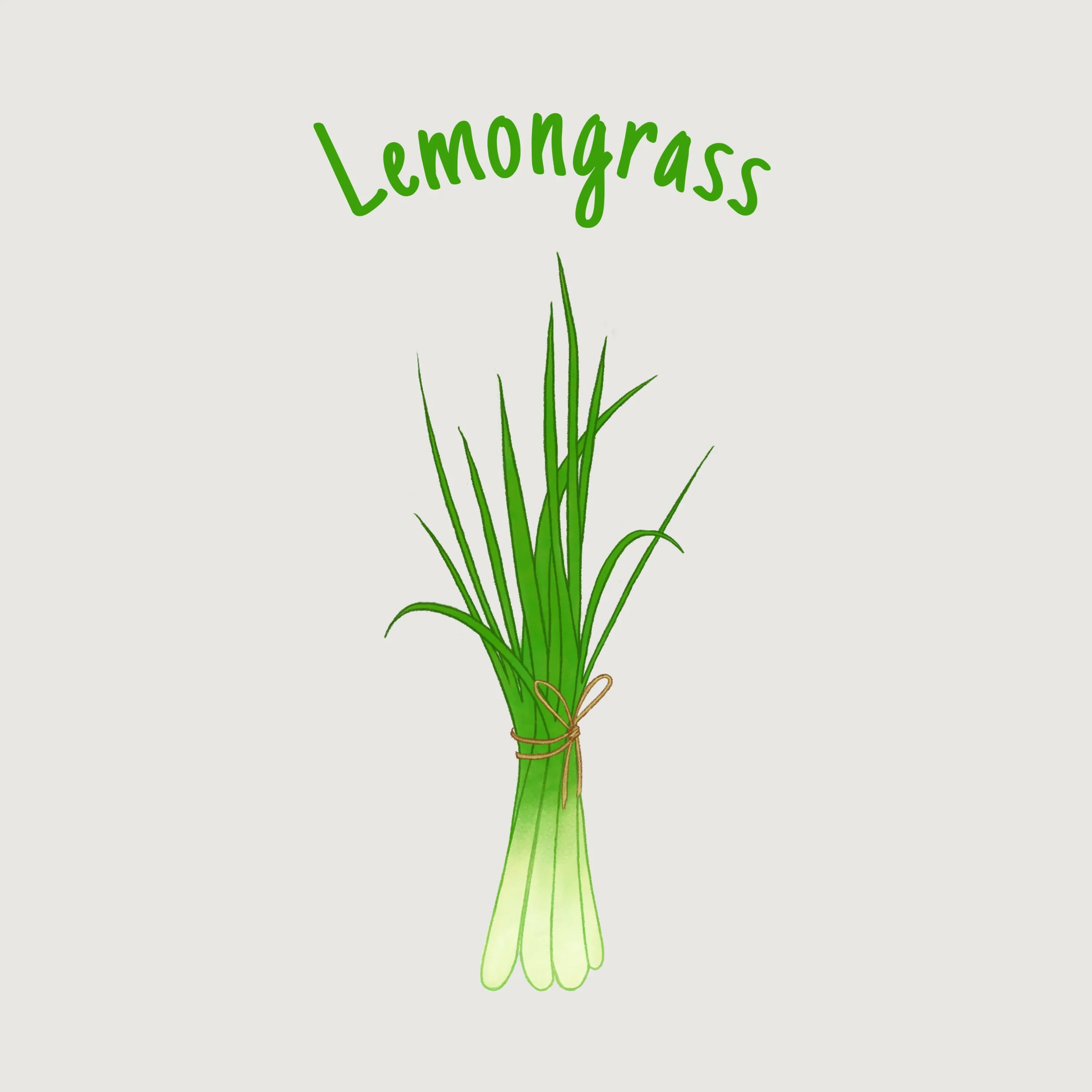 Lemongrass.jpg
