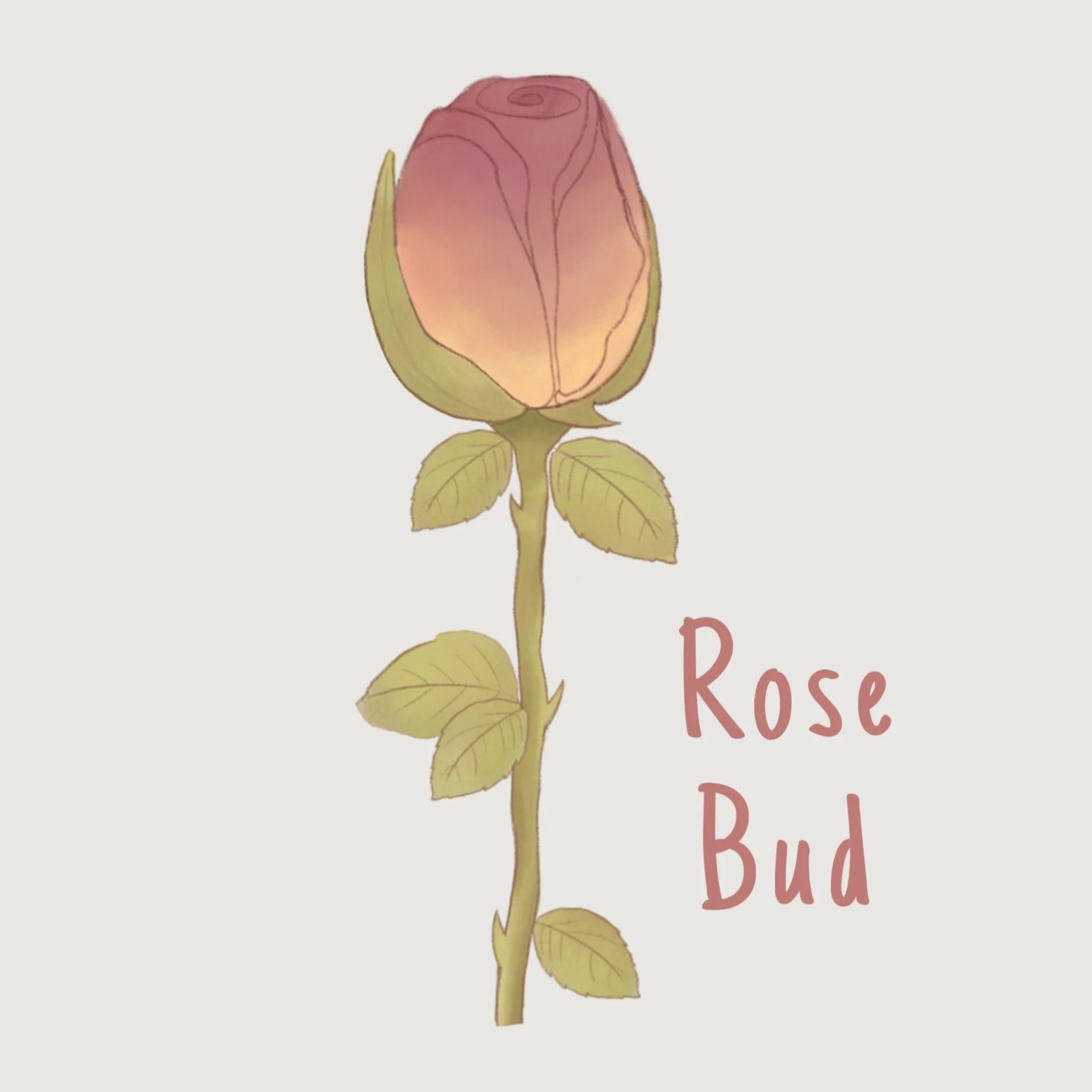 rosebud.jpg