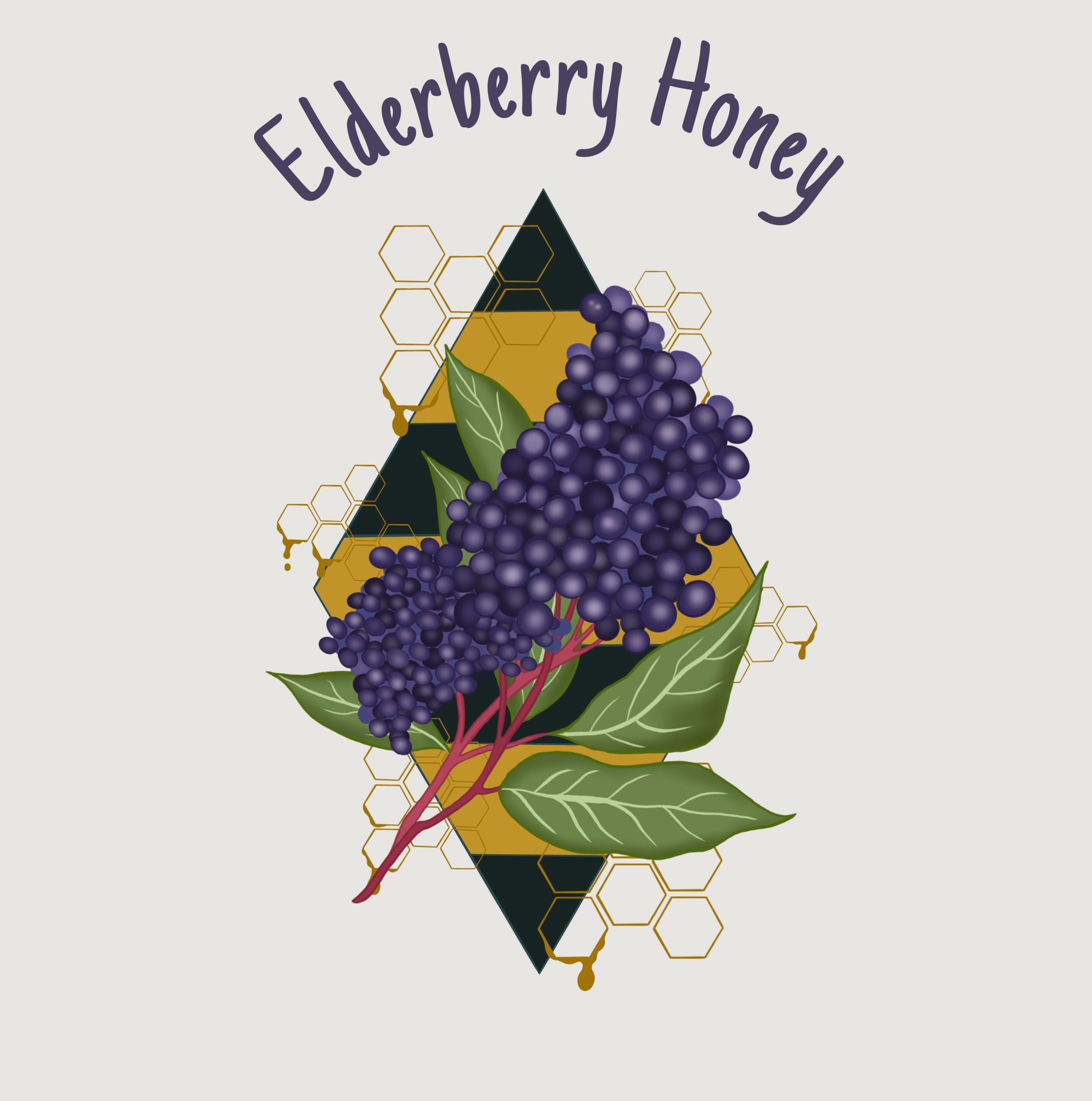 Elderberry Honey