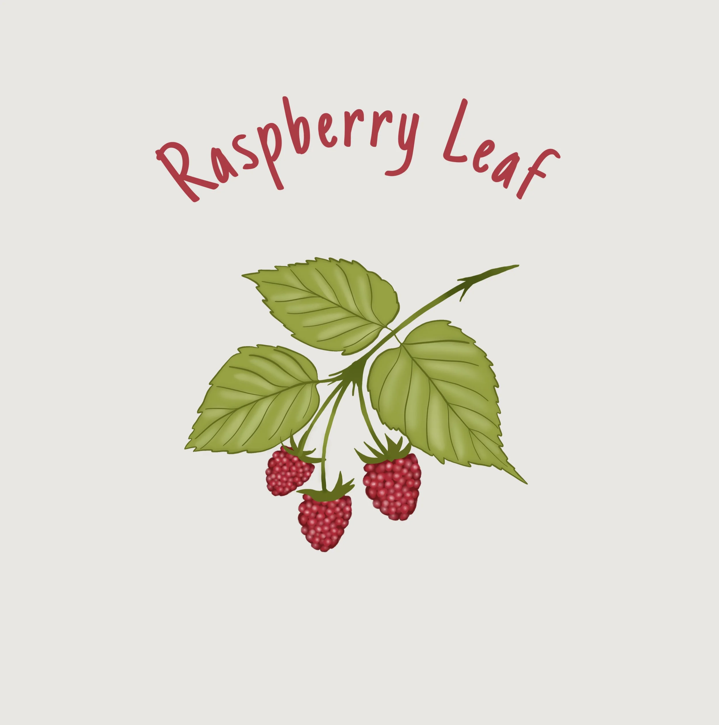 Raspberry Leaf.jpg