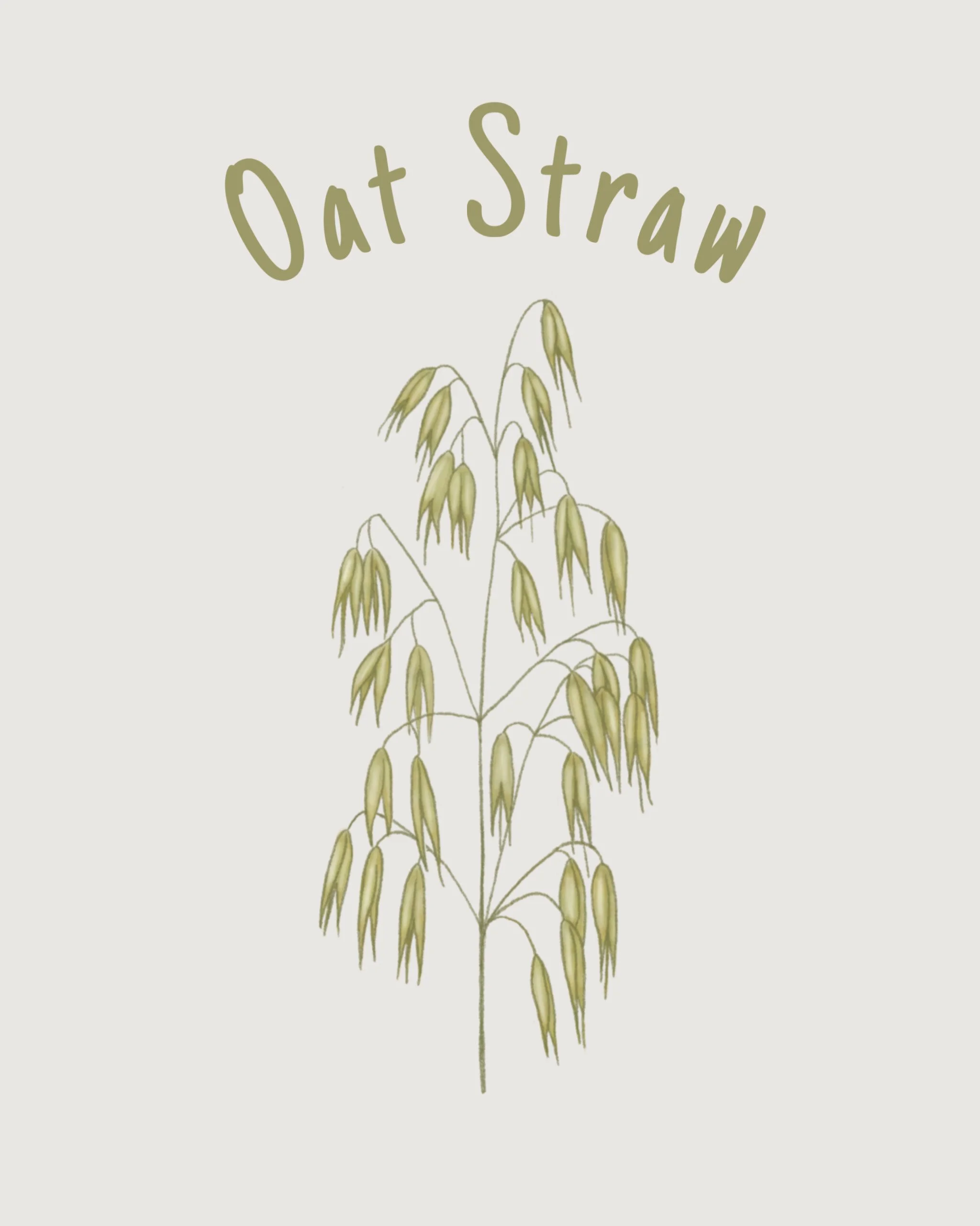 oat straw.JPEG