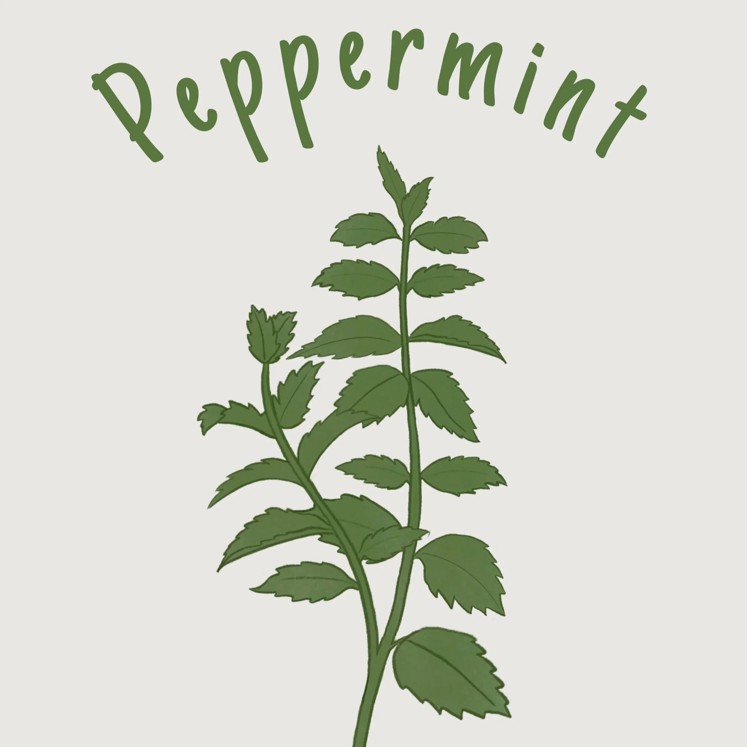 peppermint.jpg