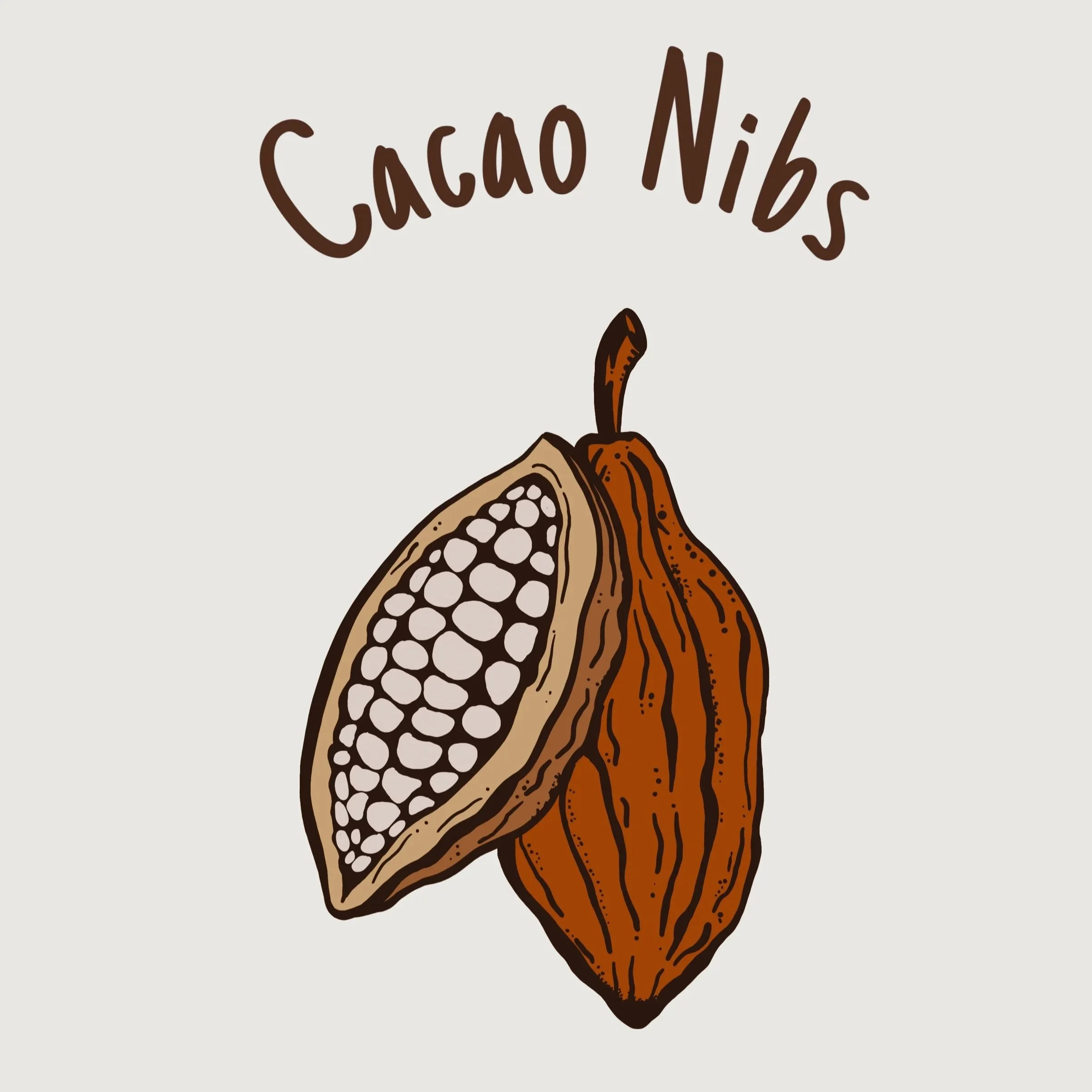 Cacao+nibs.jpg