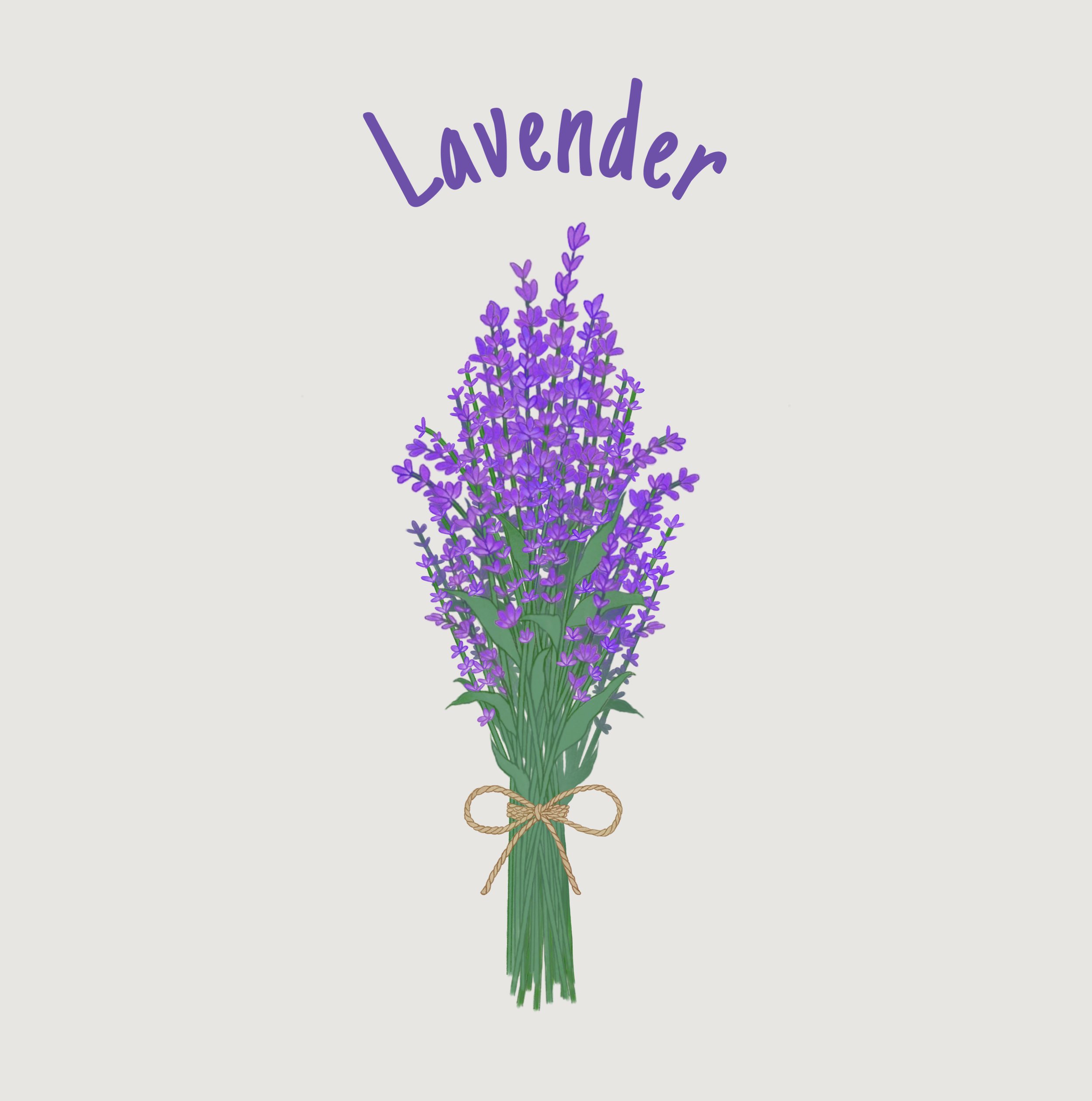 Lavender.jpg
