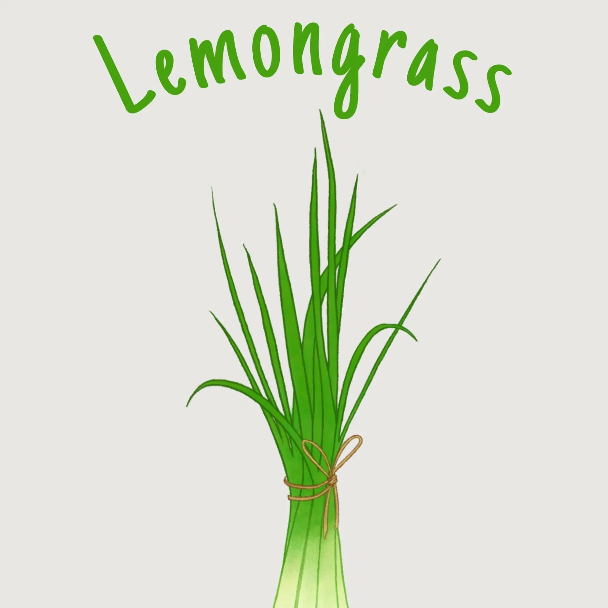 lemongrass.jpg
