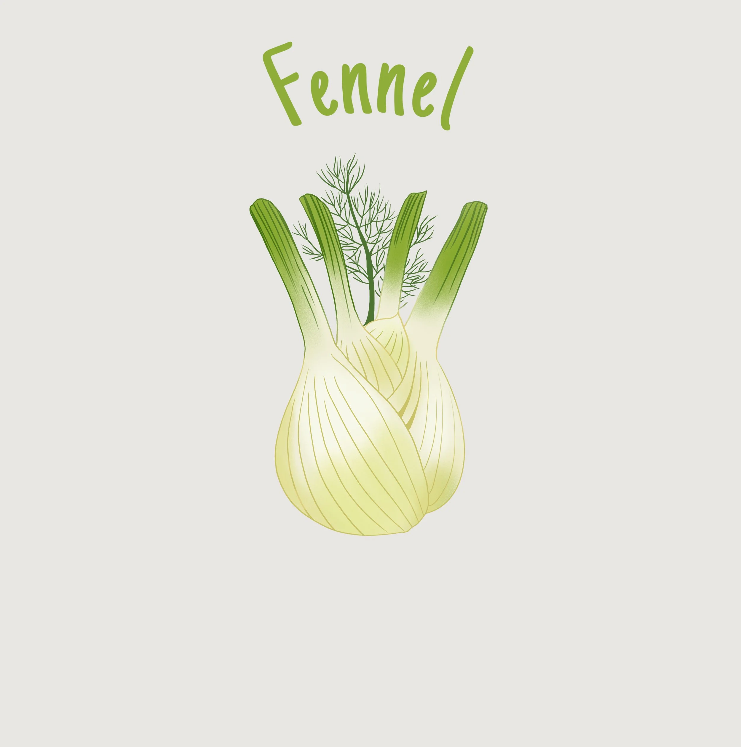 Fennel.jpg